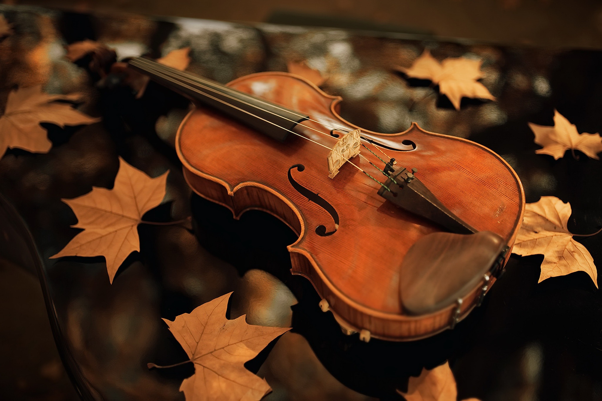 Download mobile wallpaper Music, Leaf, Fall, Violin, Instrument for free.