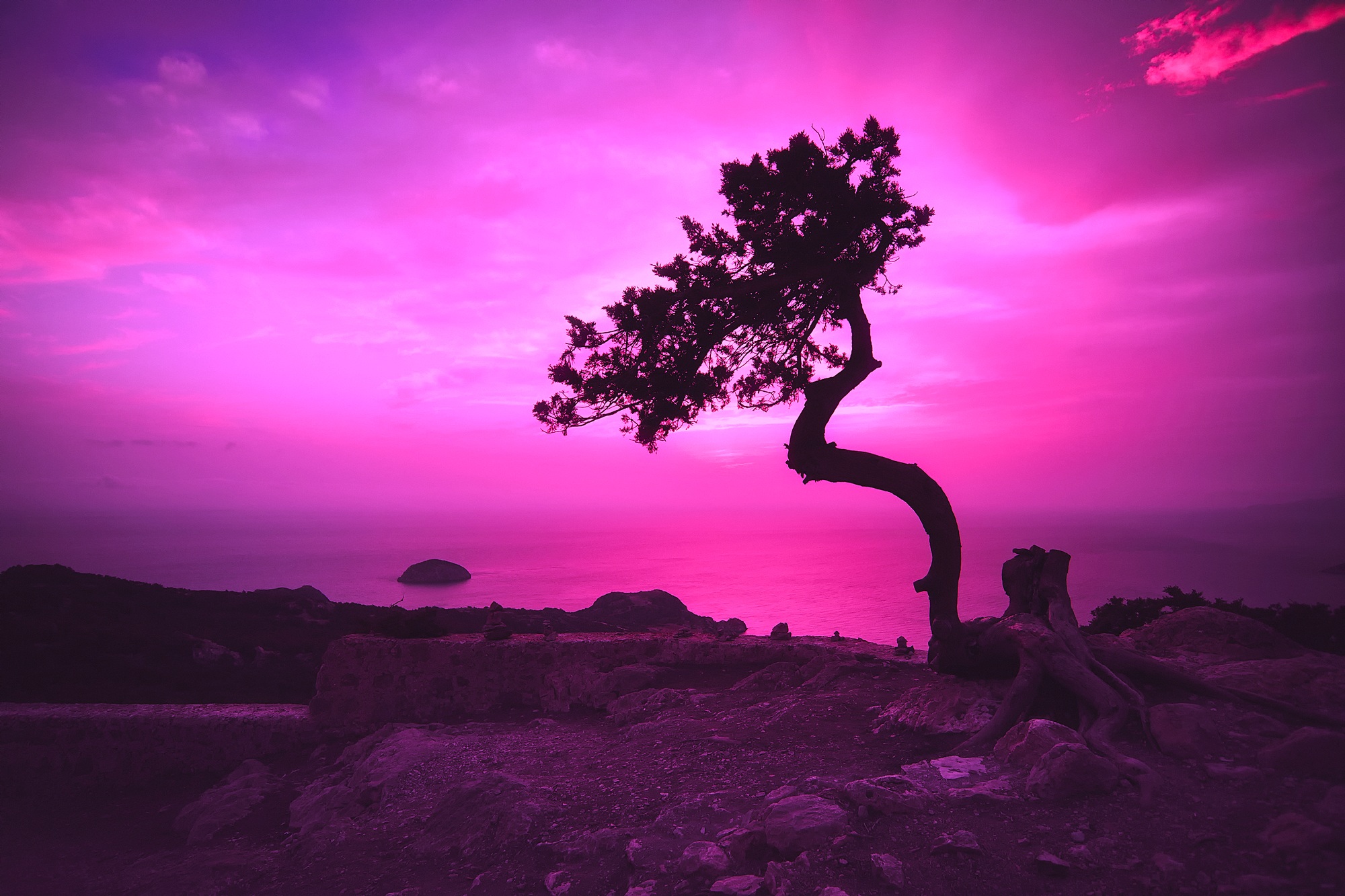 815082 Hintergrundbild herunterladen rosa, erde/natur, verdrehter baum, dämmerung, griechenland, landschaft, natur, lila, himmel - Bildschirmschoner und Bilder kostenlos