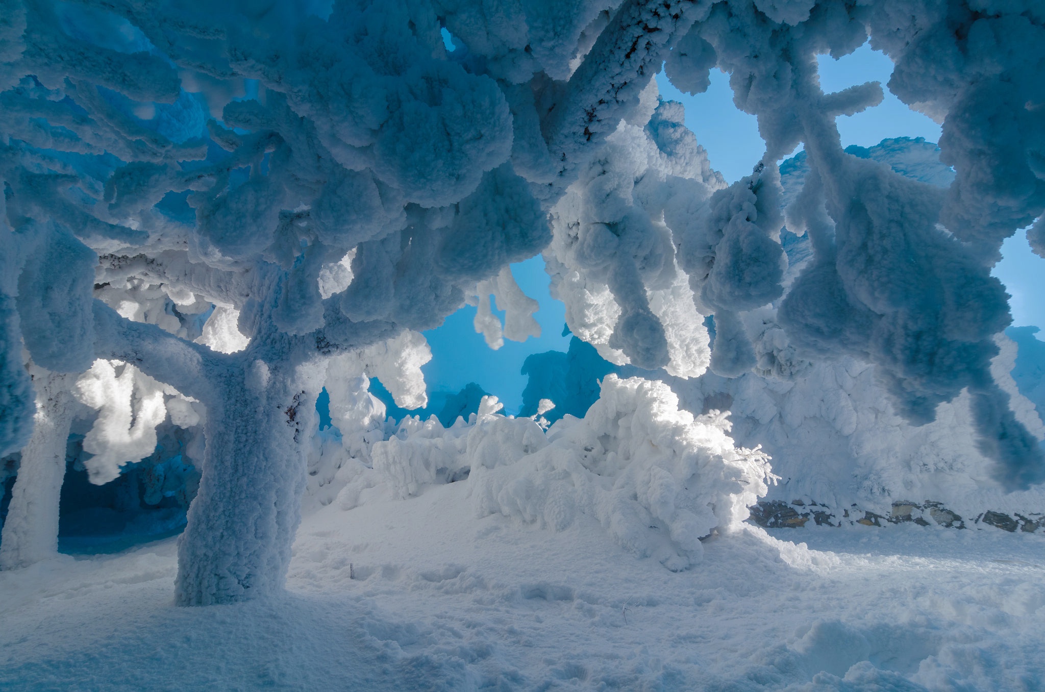 PCデスクトップに冬, 自然, 木, 雪, 地球, ロシア画像を無料でダウンロード