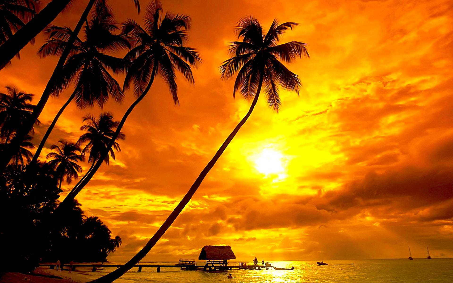 Laden Sie das Horizont, Seebrücke, Ozean, Palme, Golden, Tropisch, Fotografie, Himmel, Sonnenuntergang-Bild kostenlos auf Ihren PC-Desktop herunter