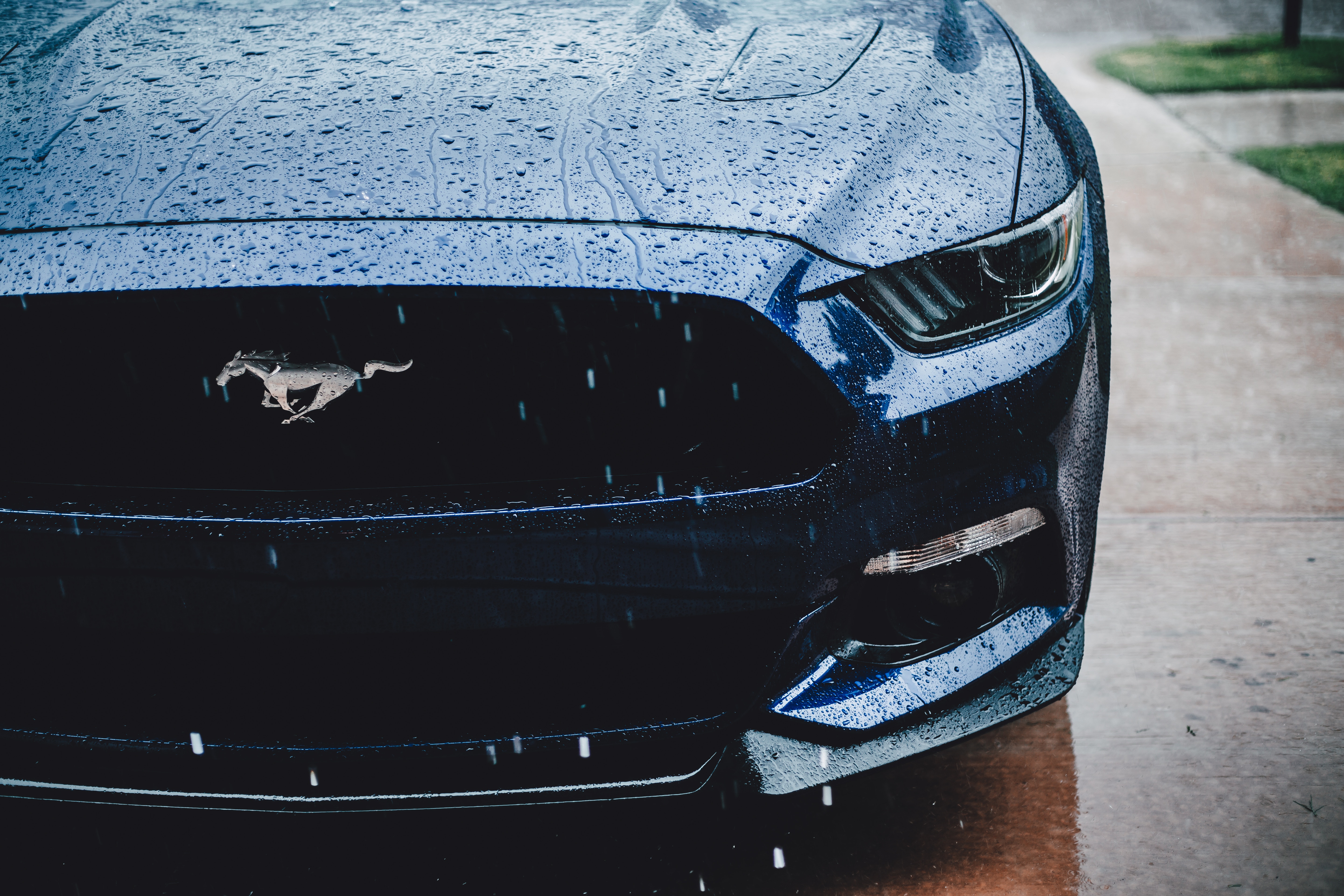 ford mustang, cars, rain, front view, headlight