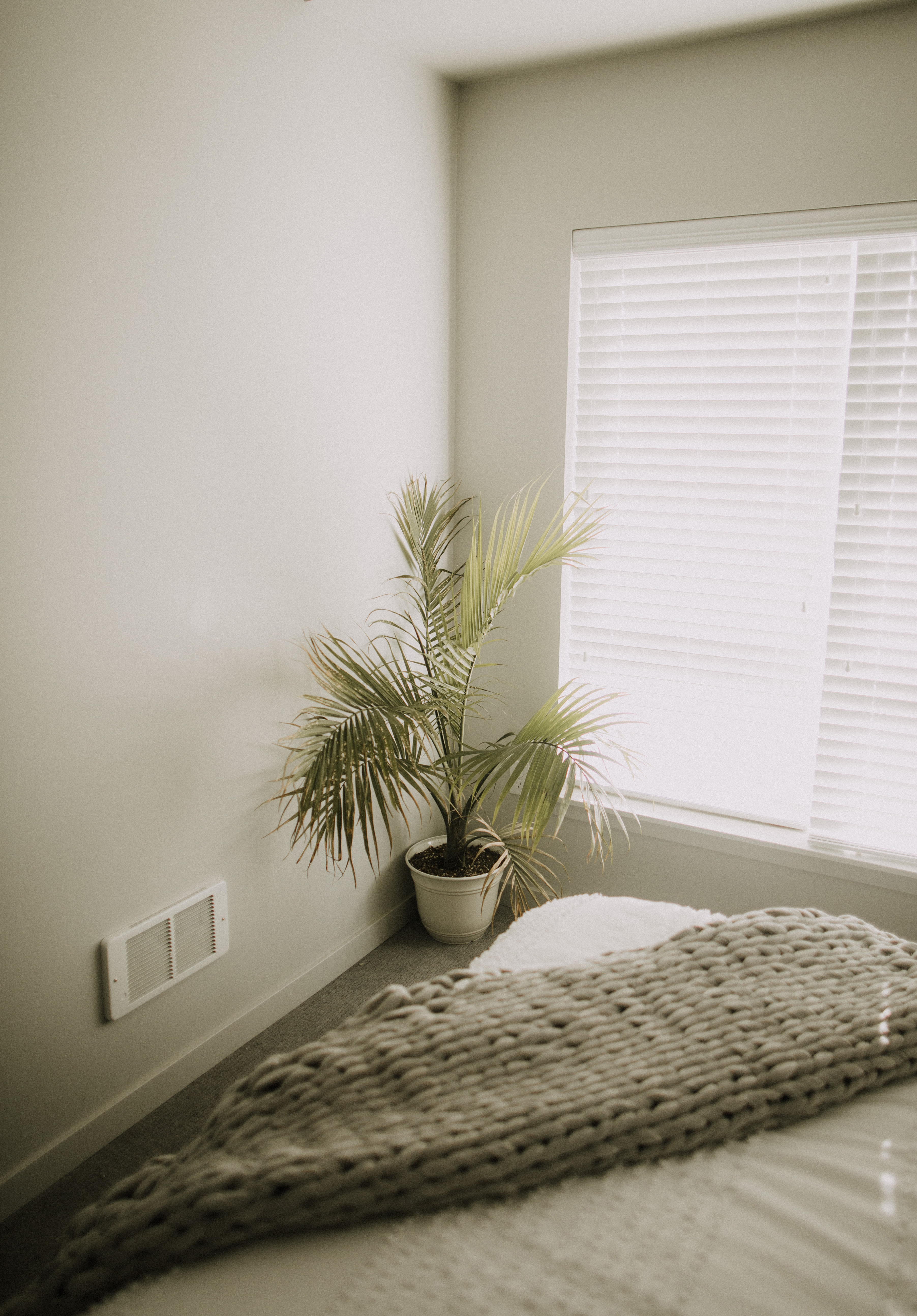 Handy-Wallpaper Interior, Sonstige, Minimalismus, Pflanze, Verschiedenes, Zimmer kostenlos herunterladen.