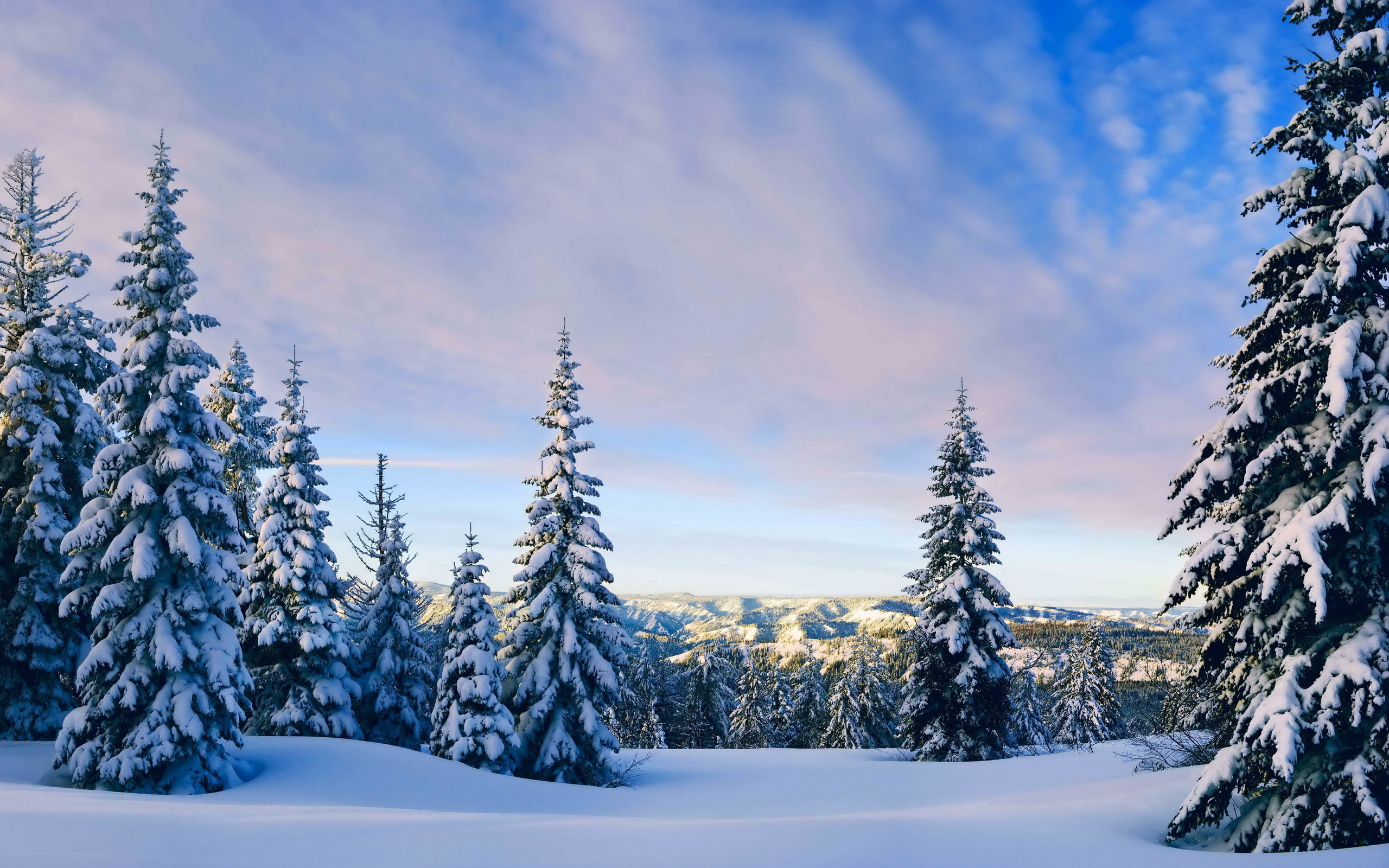 Laden Sie das Winter, Erde/natur-Bild kostenlos auf Ihren PC-Desktop herunter