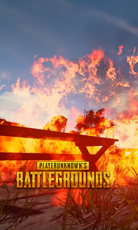 Download mobile wallpaper Video Game, Playerunknown's Battlegrounds for free.