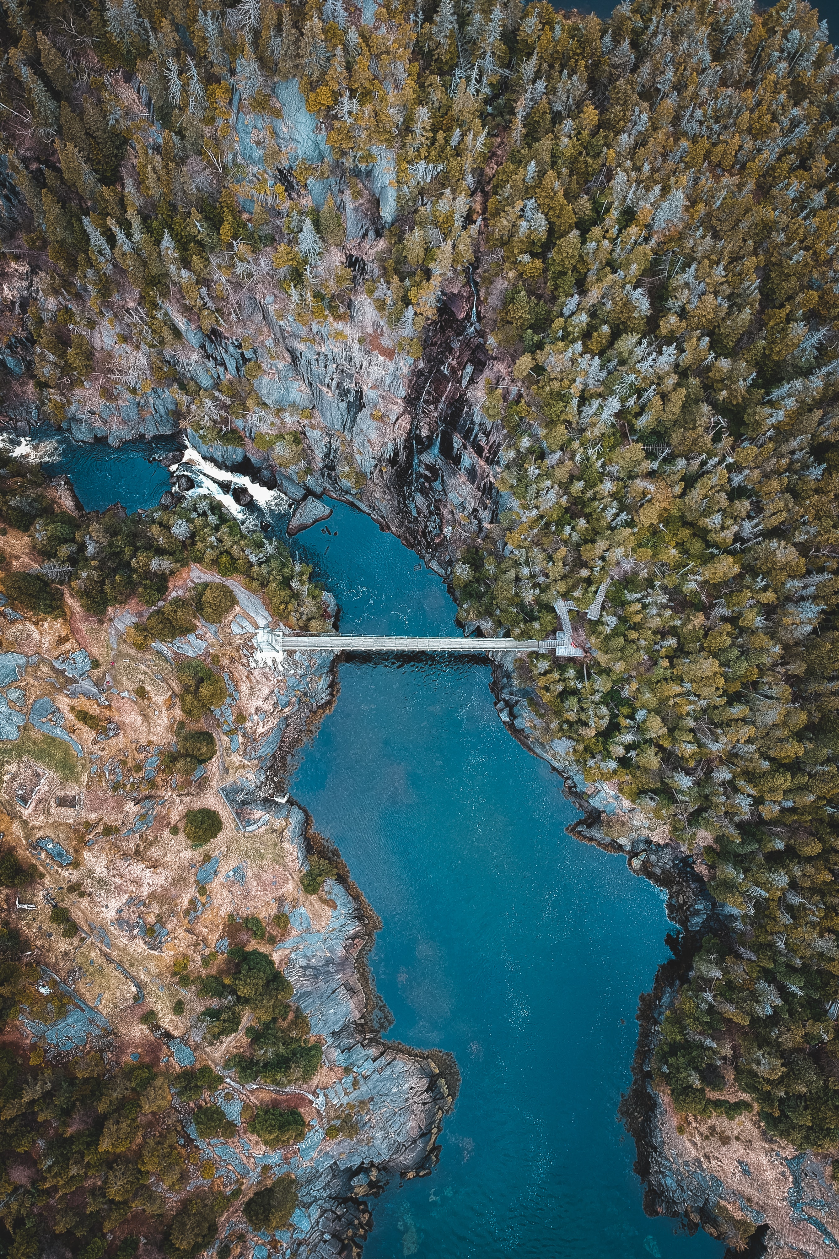 Download mobile wallpaper View From Above, Lake, Trees, Forest, Bridge, Nature for free.