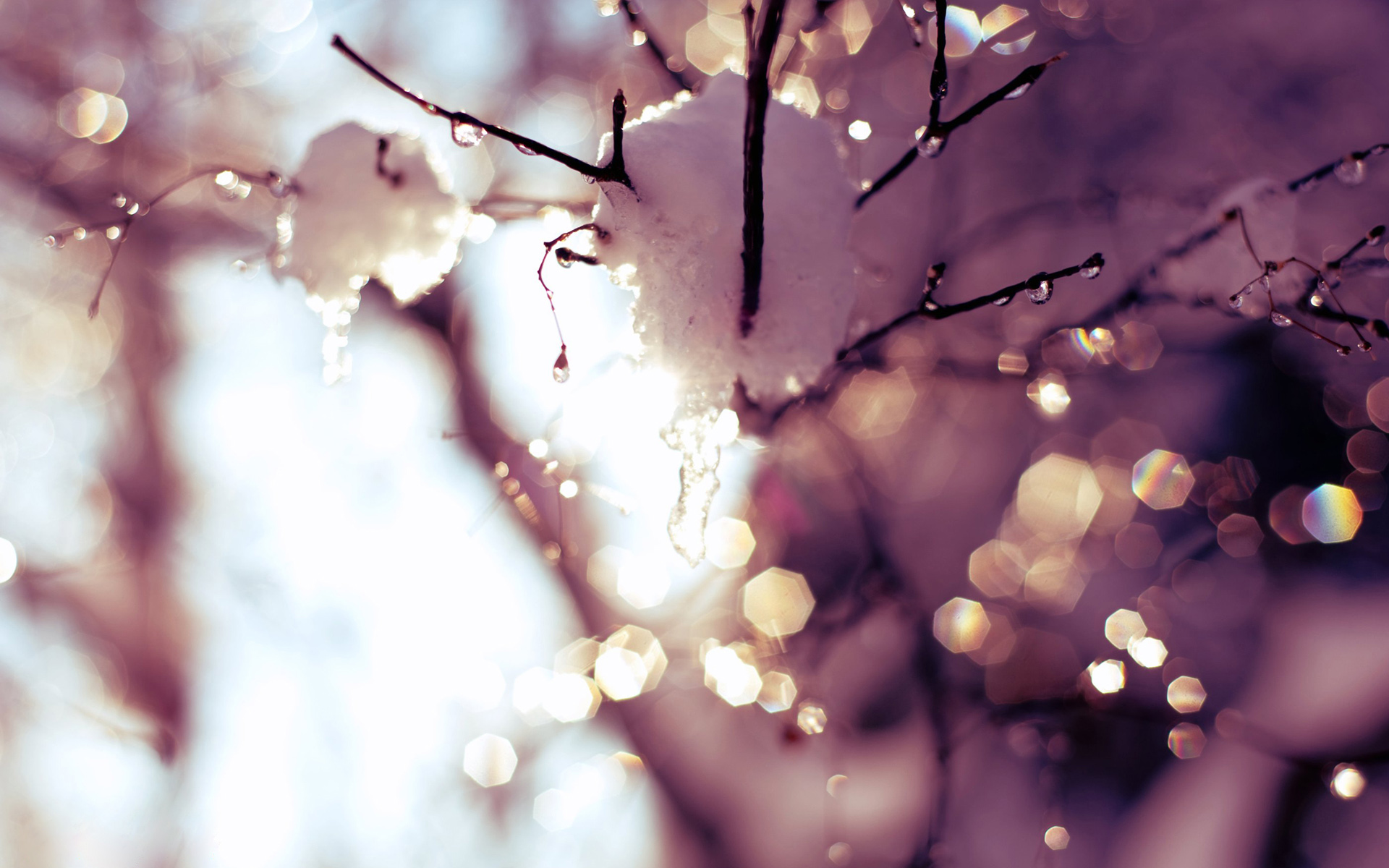 Descarga gratis la imagen Invierno, Nieve, Tierra/naturaleza, Temporada en el escritorio de tu PC