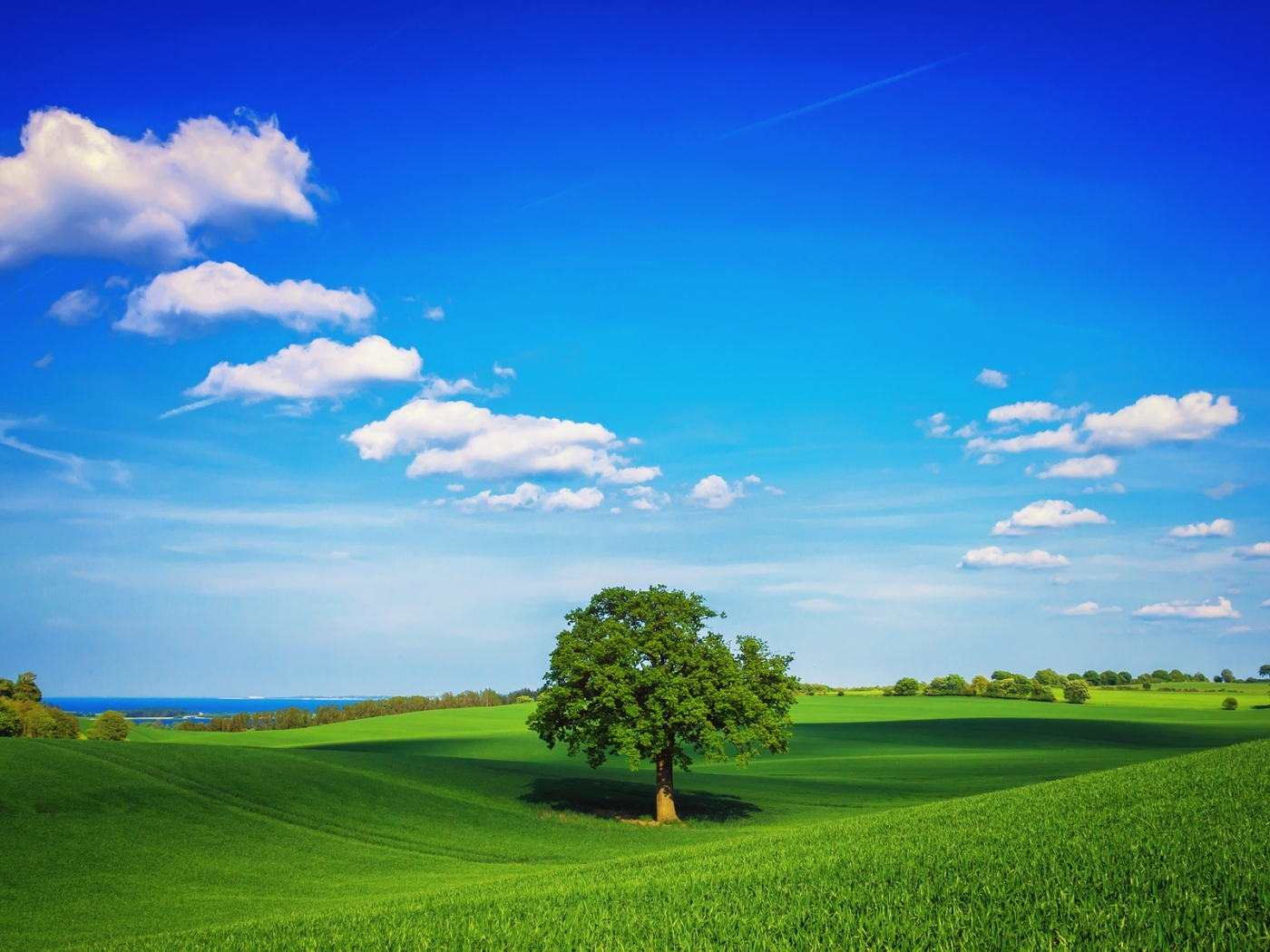 landscape, fields, clouds, trees, sky, blue Full HD