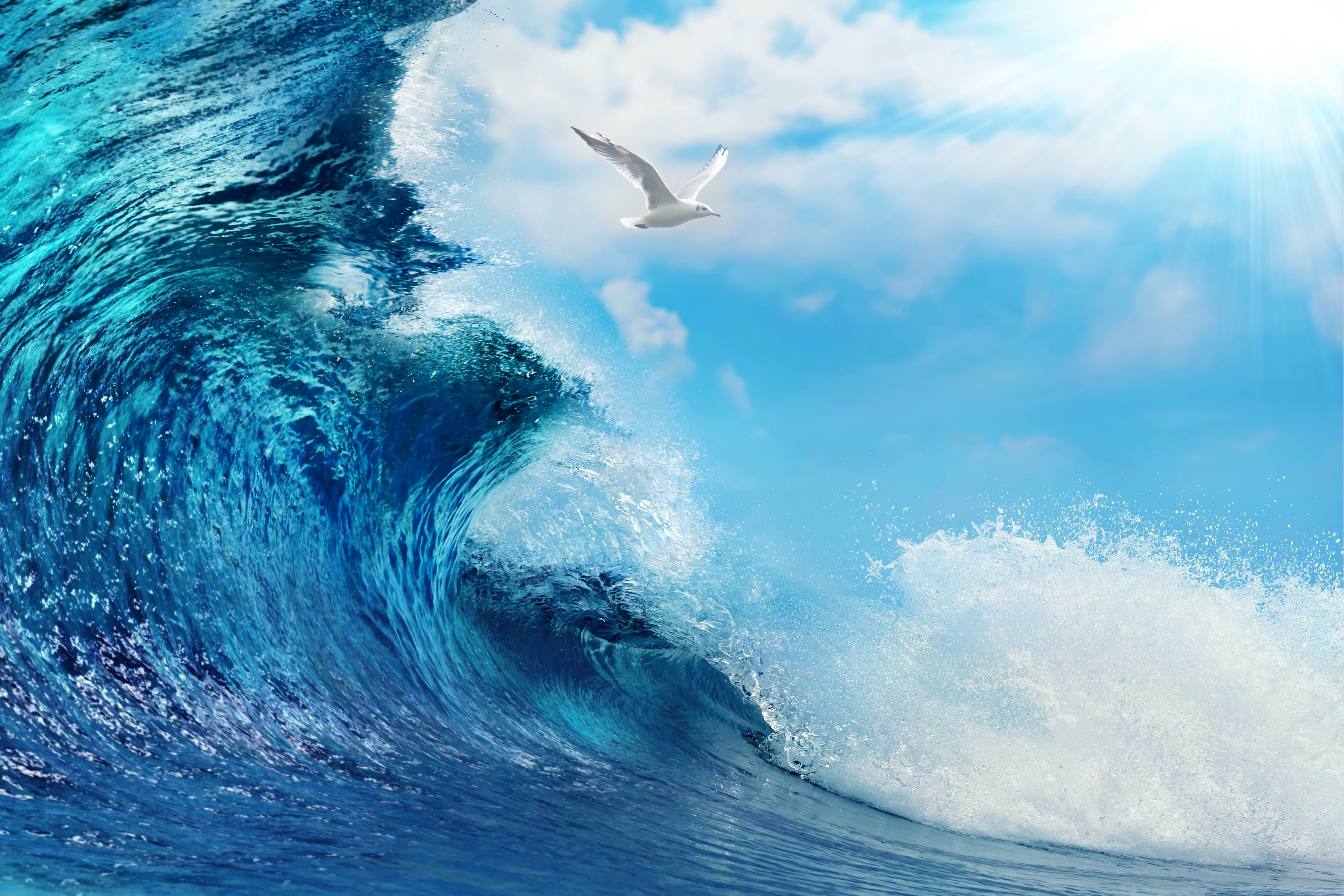 Free download wallpaper Ocean, Earth on your PC desktop