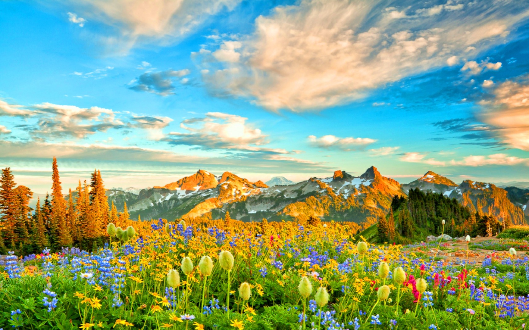 Descarga gratis la imagen Montaña, Flor, Árbol, Campo, Vistoso, Primavera, Tierra/naturaleza en el escritorio de tu PC