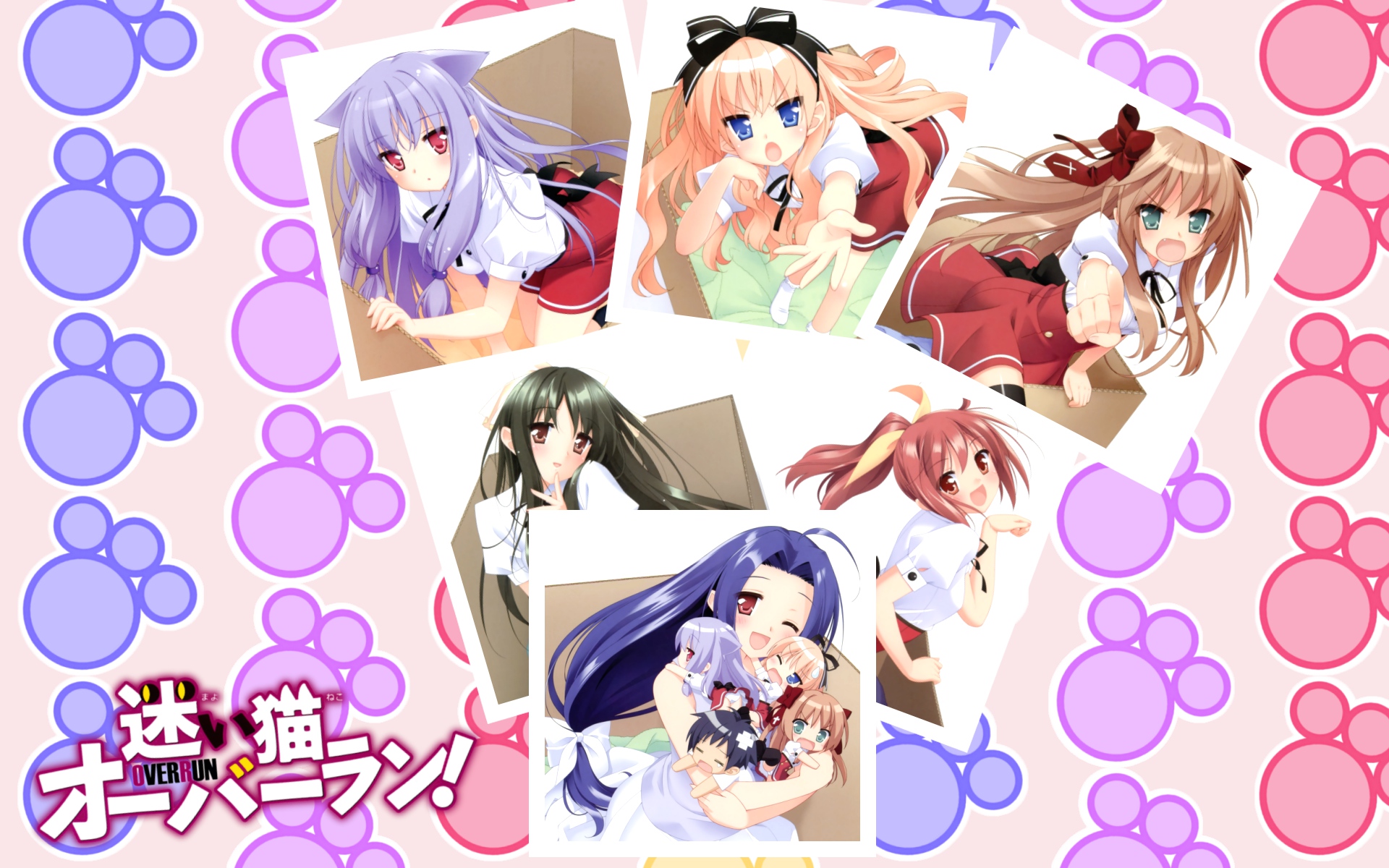 170931 Bild herunterladen animes, mayoi neko overrun!, überlaufen - Hintergrundbilder und Bildschirmschoner kostenlos