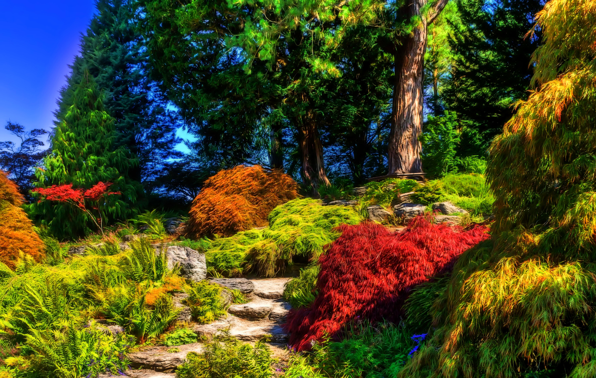 Download mobile wallpaper Tree, Colors, Garden, Colorful, Man Made, Shrub for free.