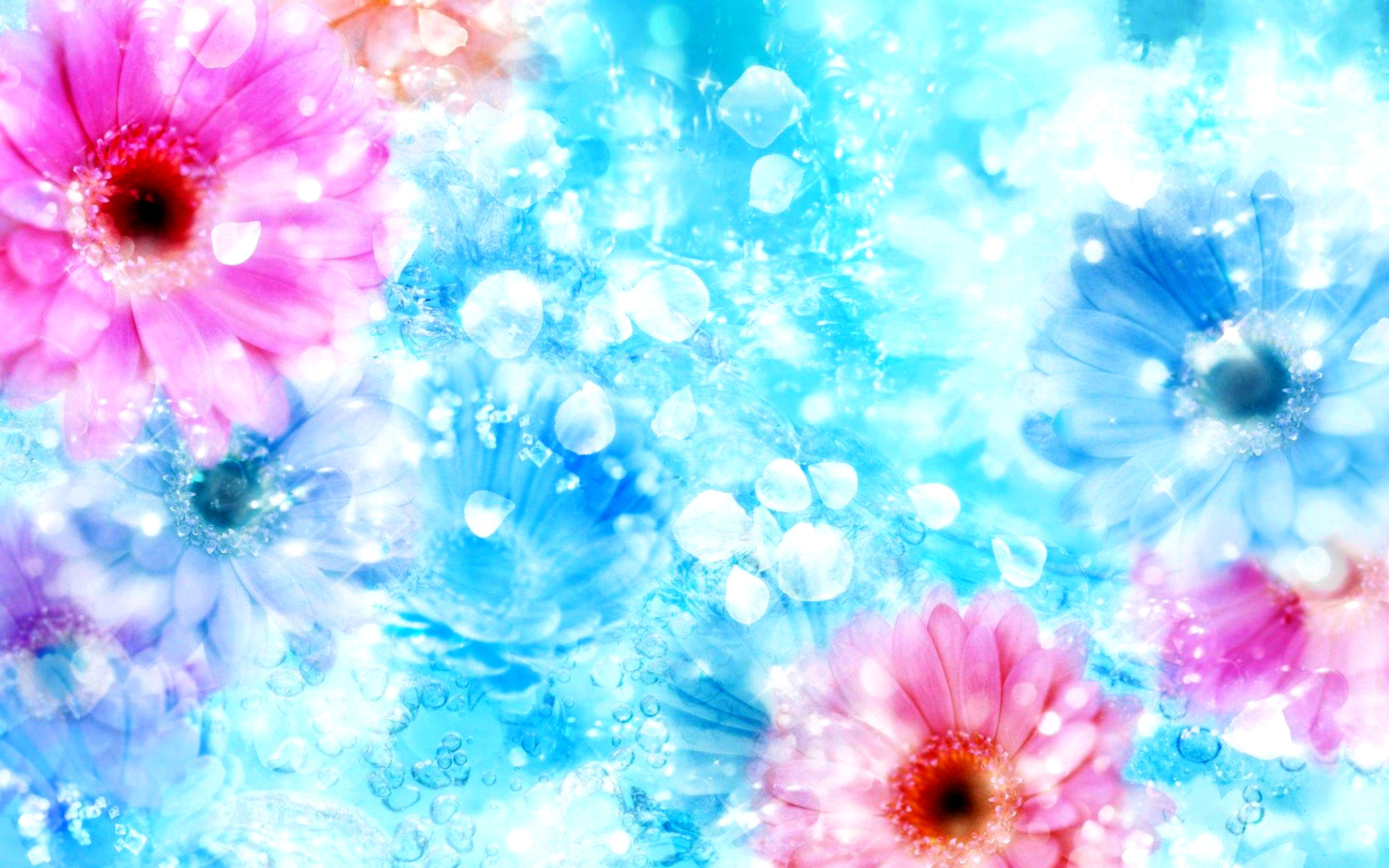 Laden Sie das Blume, Bunt, Bokeh, Pastell, Wassertropfen, Erde/natur-Bild kostenlos auf Ihren PC-Desktop herunter