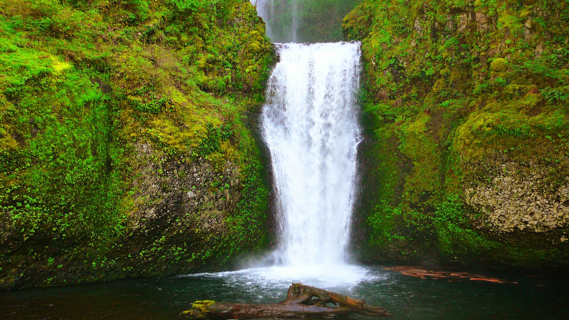 Laden Sie das Wasserfälle, Wasserfall, Moos, Erde/natur-Bild kostenlos auf Ihren PC-Desktop herunter