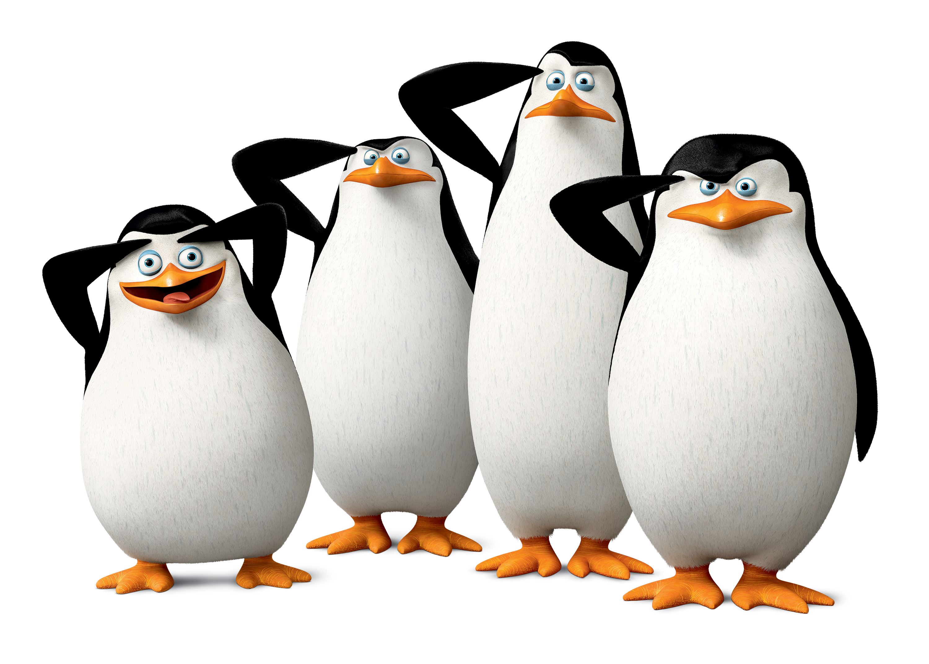 739475 Bild herunterladen filme, die pinguine aus madagascar - Hintergrundbilder und Bildschirmschoner kostenlos