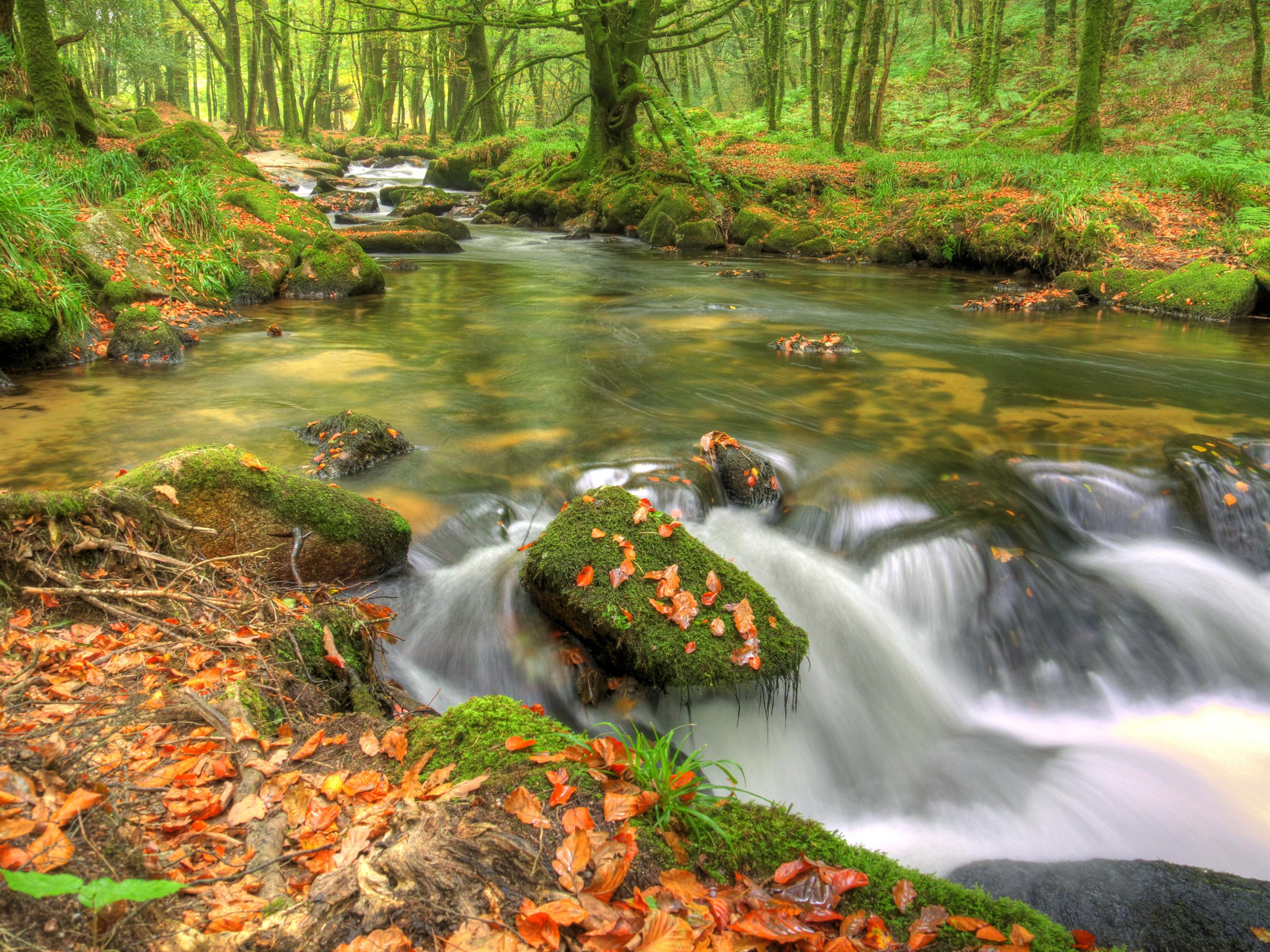 PCデスクトップに自然, 秋, 葉, 滝, 地球, モス, ストリーム, アイルランド画像を無料でダウンロード