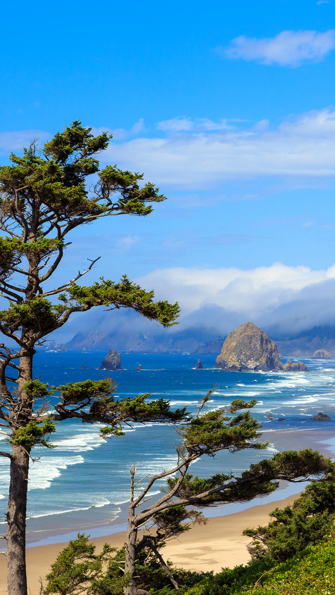 Download mobile wallpaper Landscape, Nature, Sea, Beach, Sand, Usa, Coast, Tree, Ocean, Earth, Cloud, Coastline, Oregon for free.