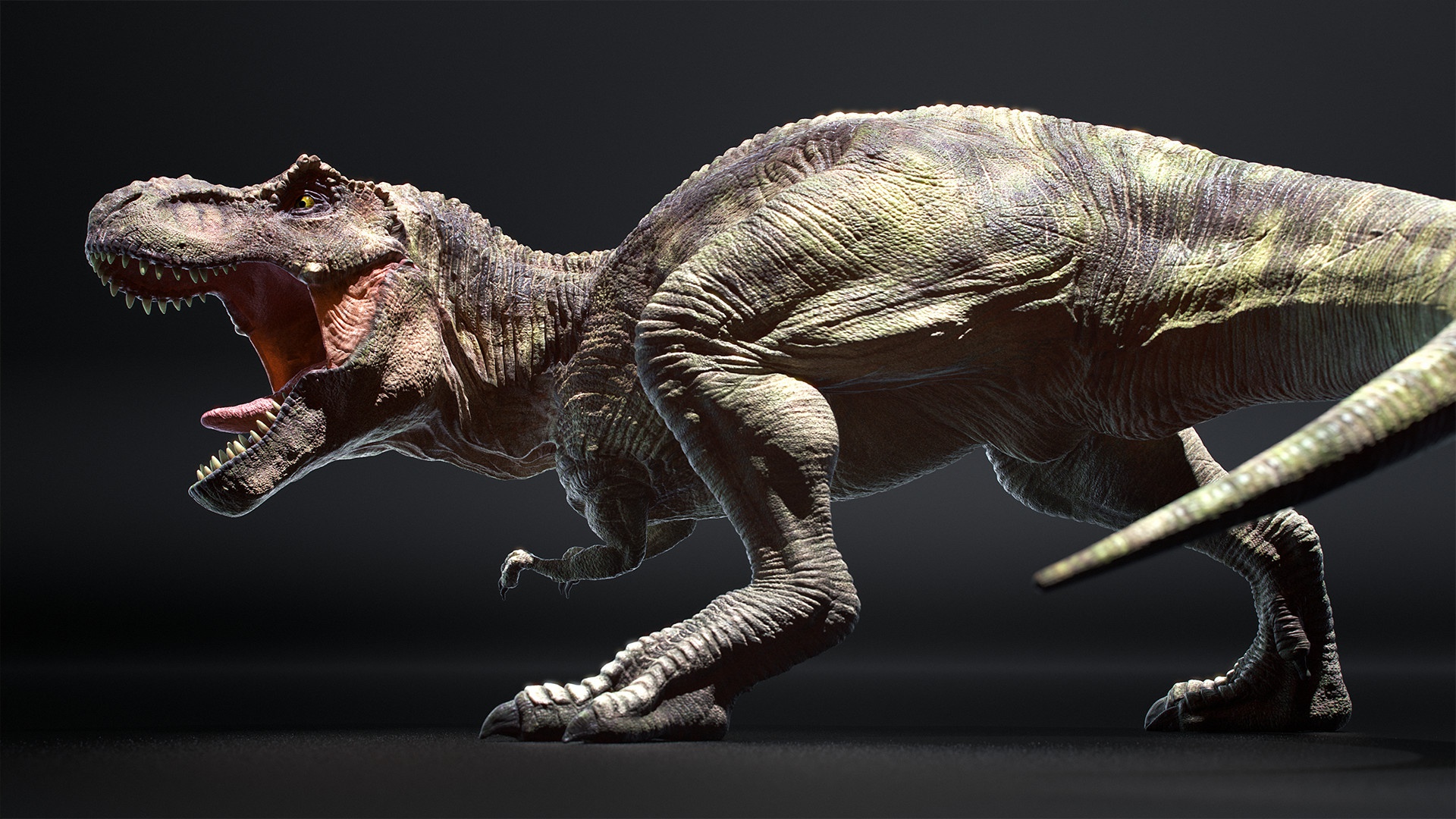 432075 Hintergrundbild herunterladen tiere, tyrannosaurus rex, dinosaurier - Bildschirmschoner und Bilder kostenlos
