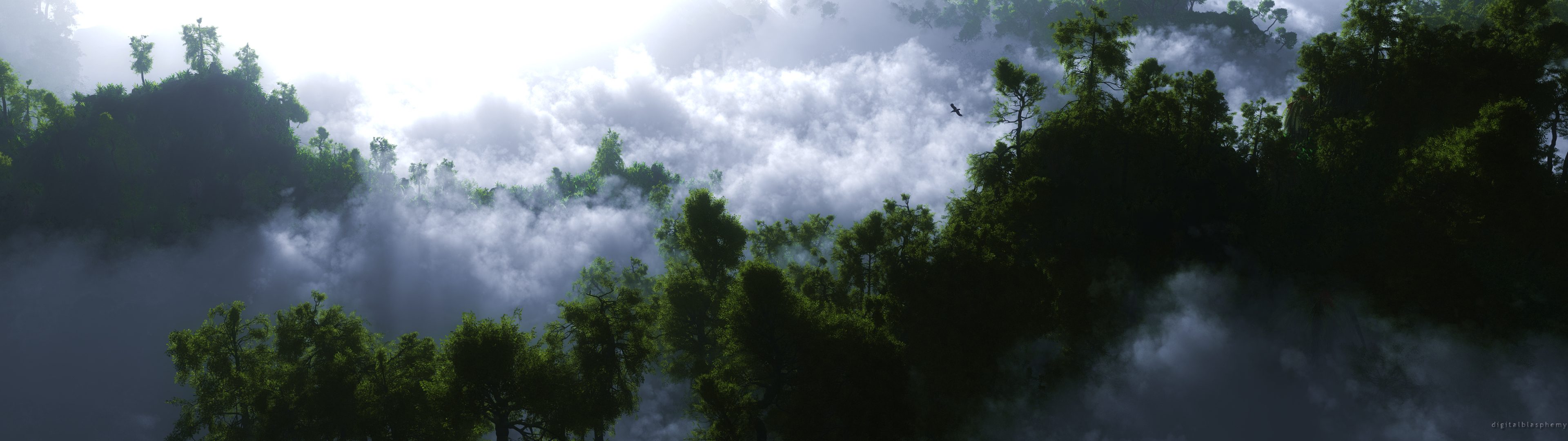 Скачать обои бесплатно Облака, Лес, Земля/природа картинка на рабочий стол ПК