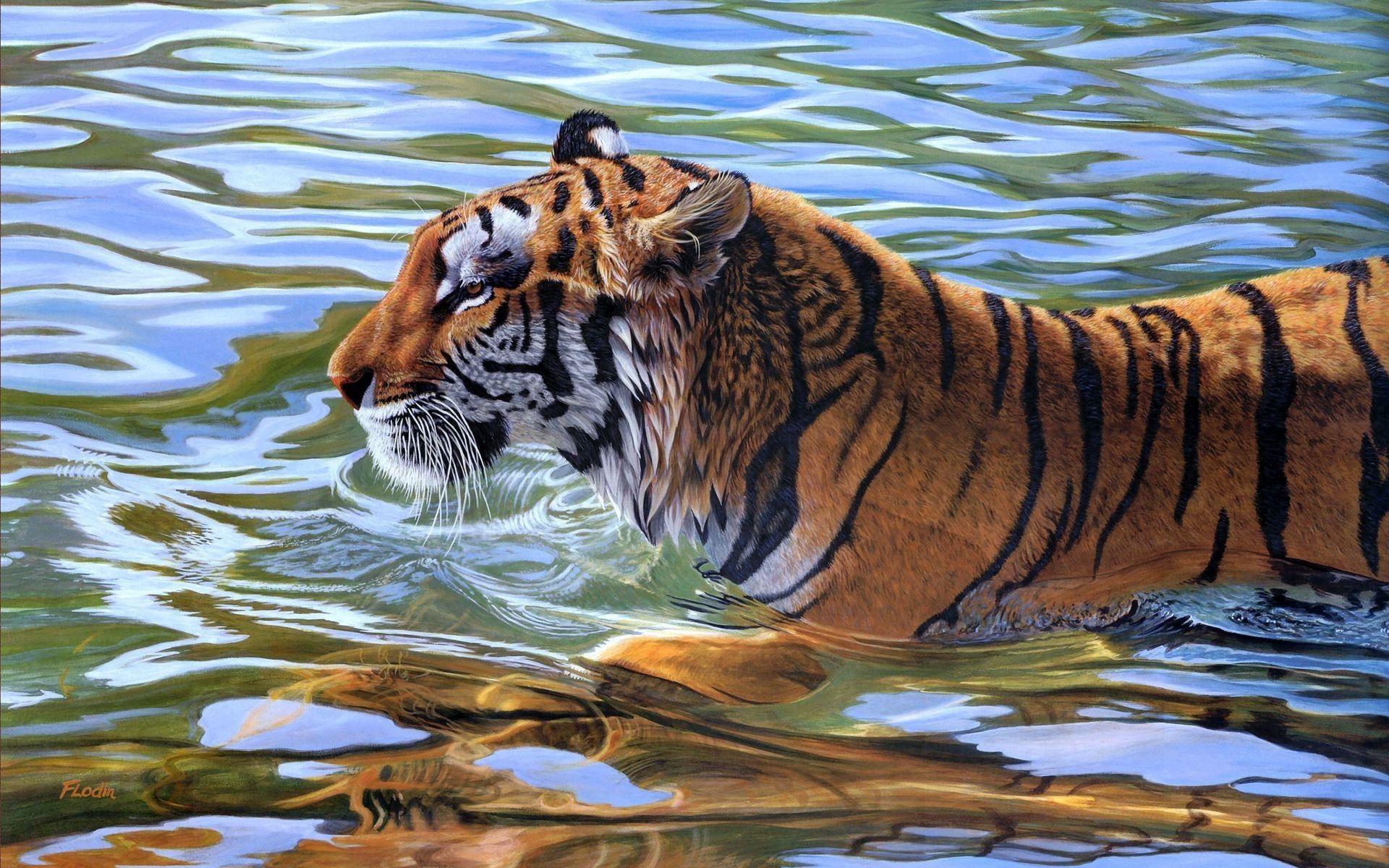 Free download wallpaper Animals, Water, Striped, Tiger, Swim, To Swim on your PC desktop