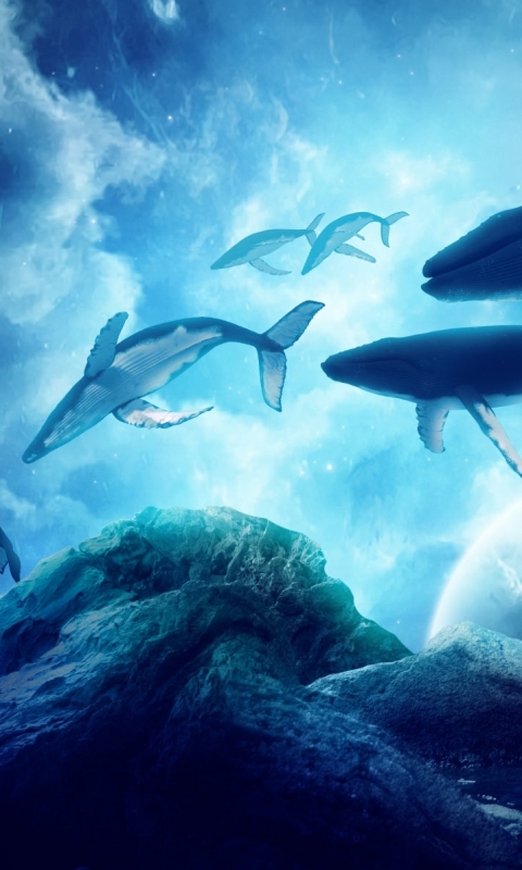 無料モバイル壁紙ファンタジー, 鯨, ファンタジー動物をダウンロードします。