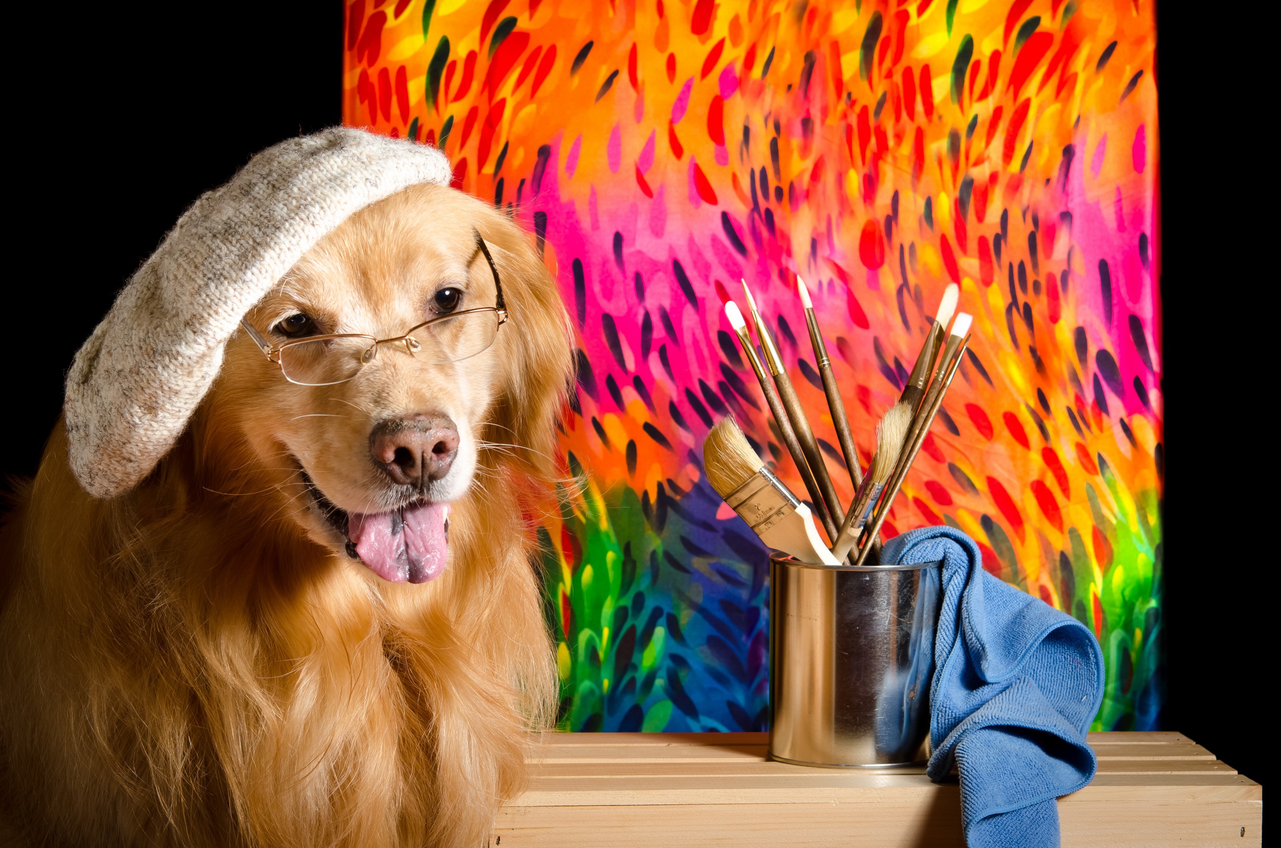Download mobile wallpaper Dogs, Dog, Animal, Golden Retriever, Glasses, Hat for free.