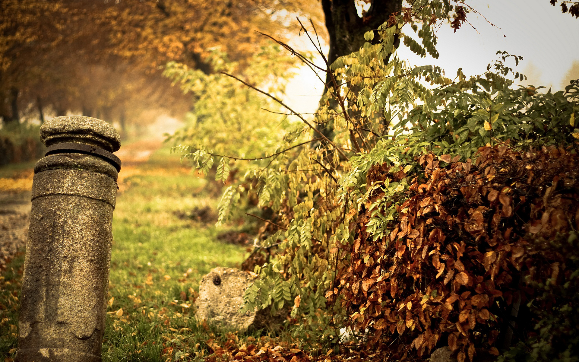 Descarga gratis la imagen Otoño, Tierra/naturaleza en el escritorio de tu PC