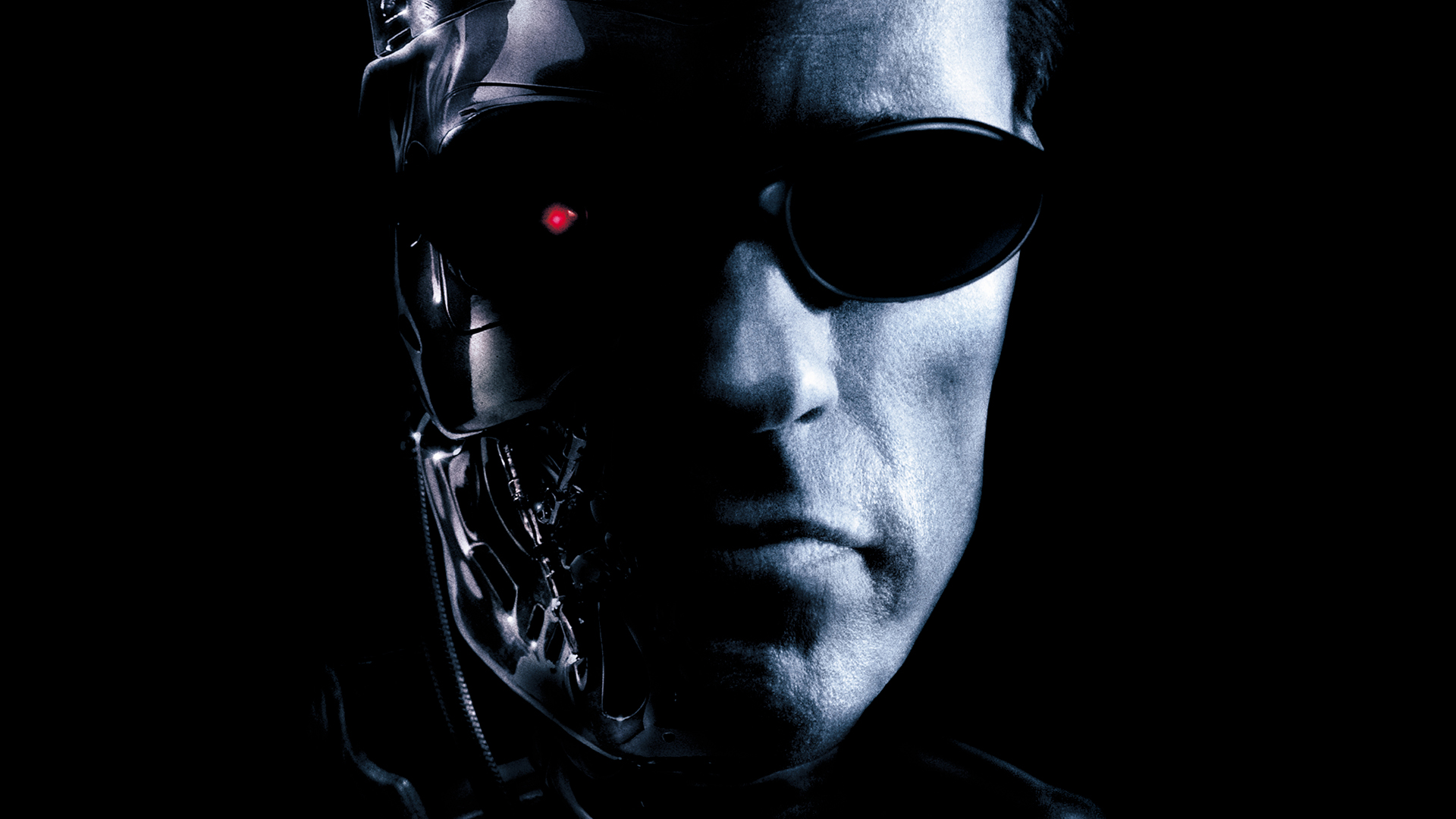 terminator 3: rise of the machines, movie, arnold schwarzenegger, terminator