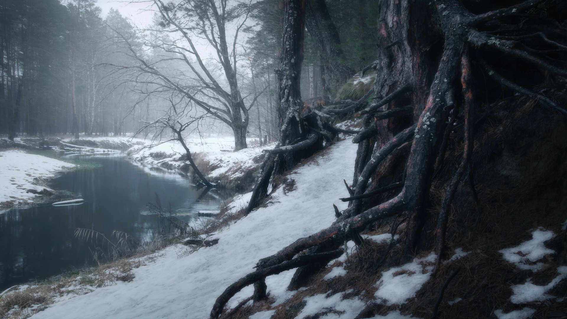 Free download wallpaper Winter, Water, Snow, Tree, Earth on your PC desktop
