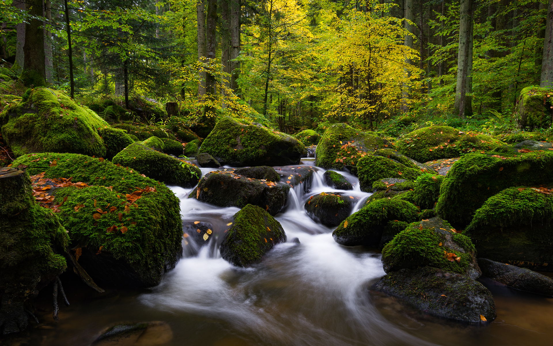 Download mobile wallpaper Forest, Earth, Stone, Moss, Stream, Germany for free.