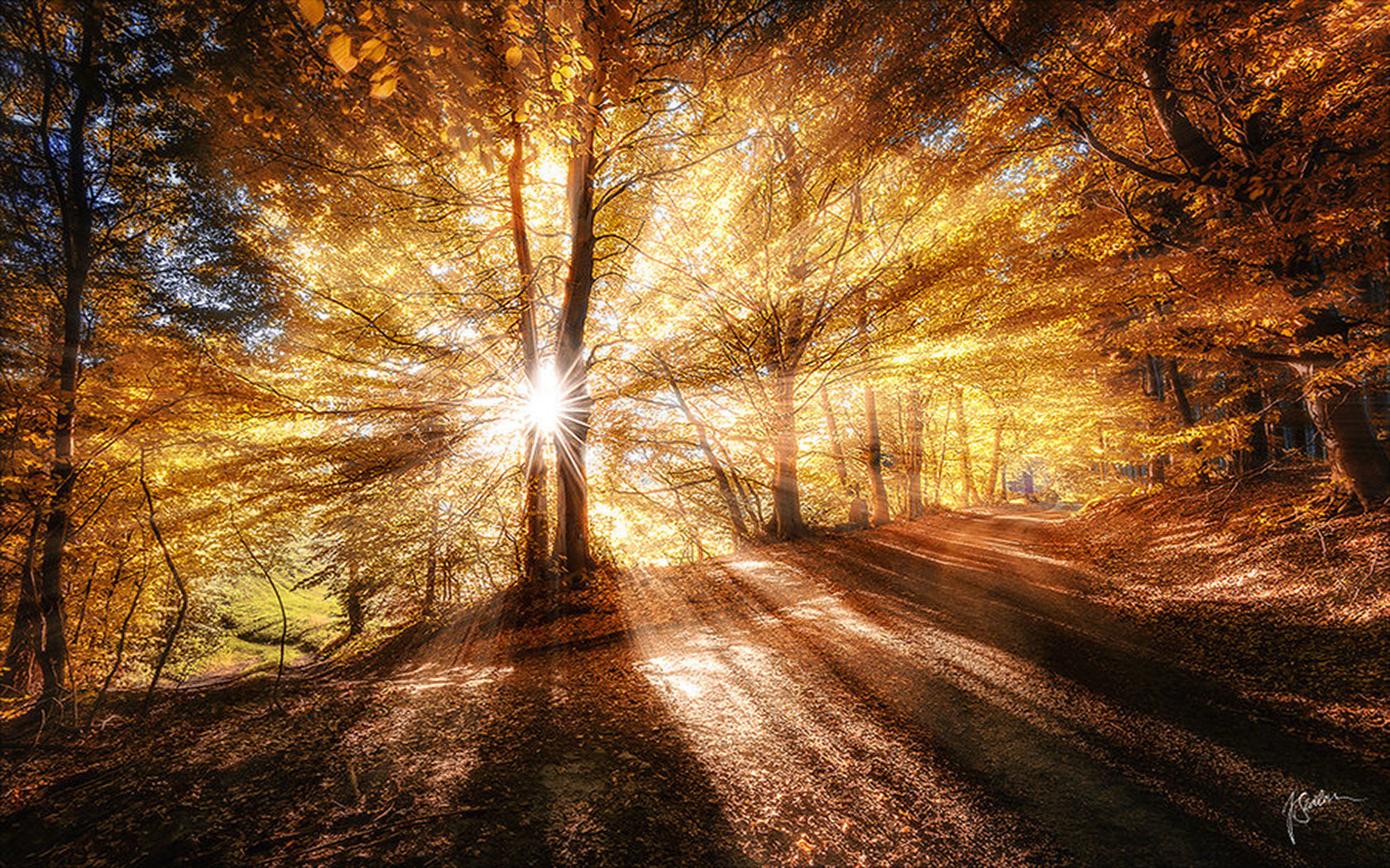 Скачать обои бесплатно Осень, Солнечный Луч, Земля/природа картинка на рабочий стол ПК