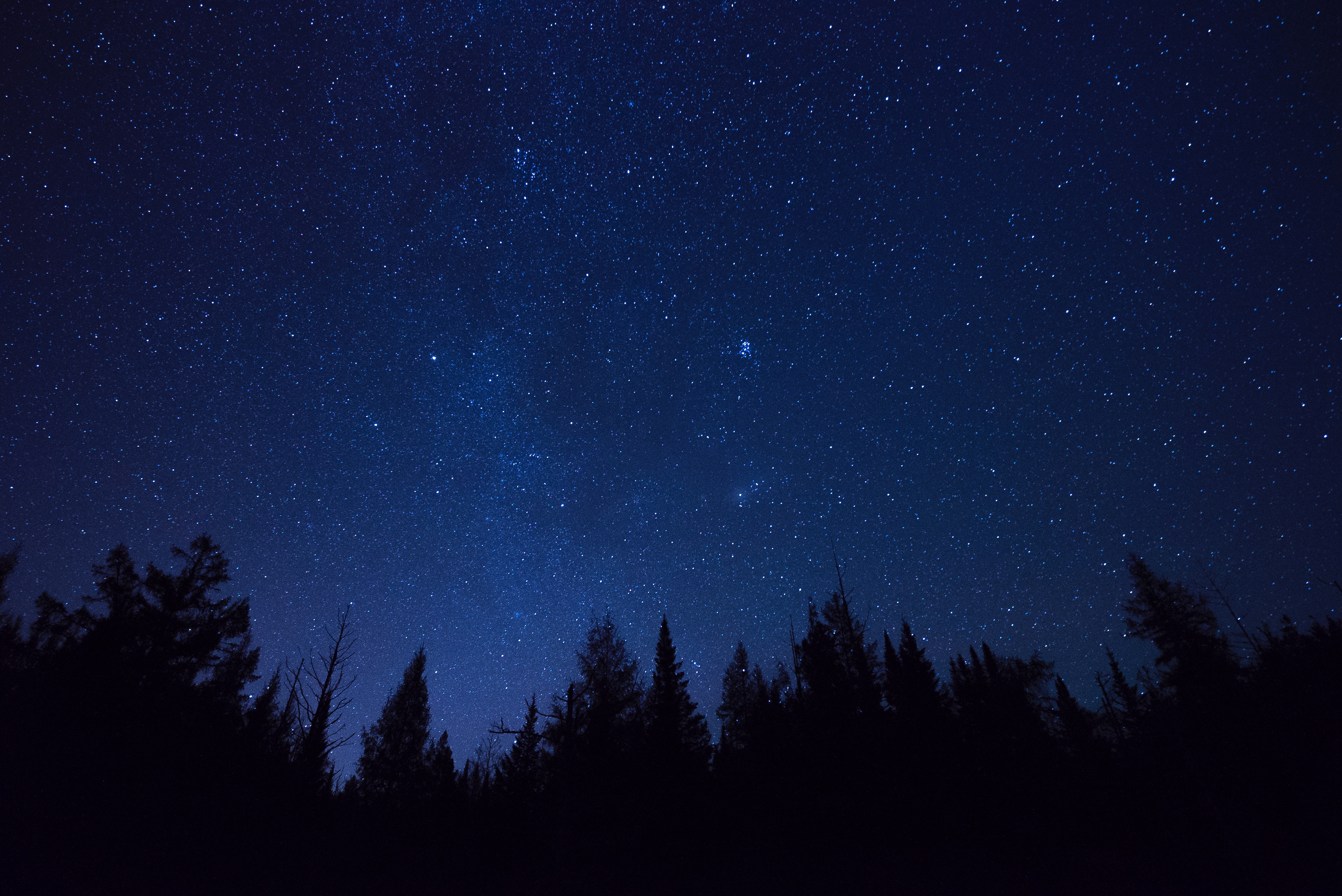 Free download wallpaper Trees, Stars, Starry Sky, Outlines, Ate, Dark, Night on your PC desktop