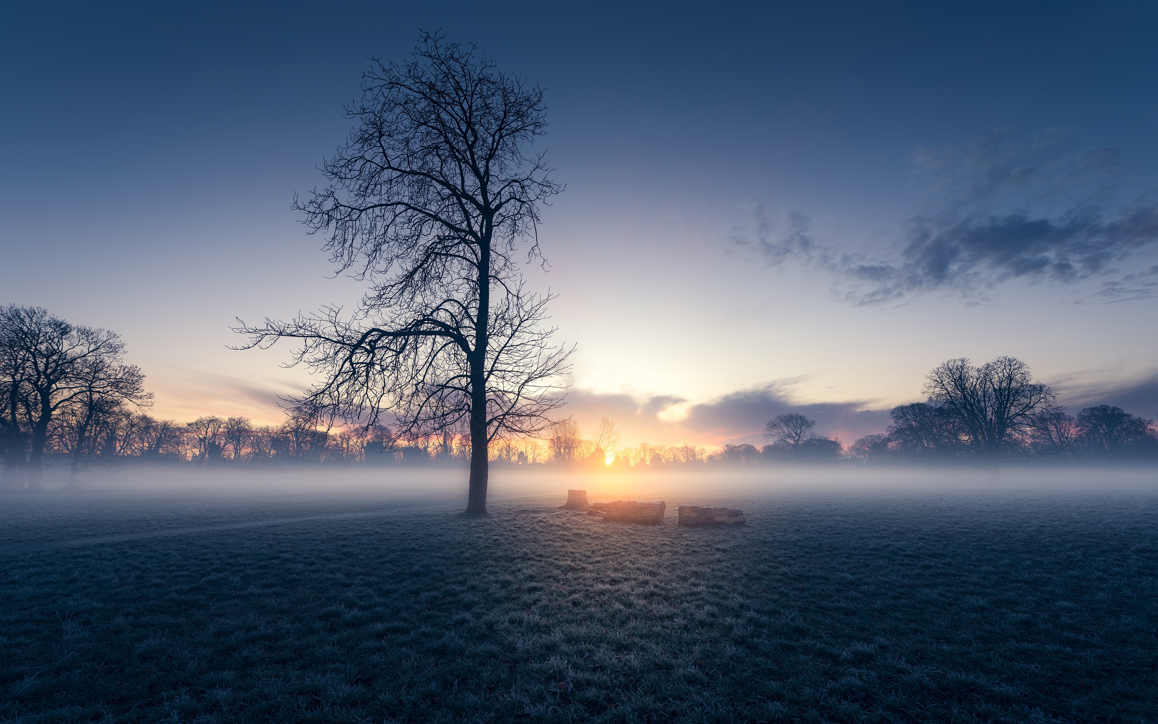 Handy-Wallpaper Baum, Nebel, Sonnenaufgang, Sonnenstrahl, Erde/natur kostenlos herunterladen.