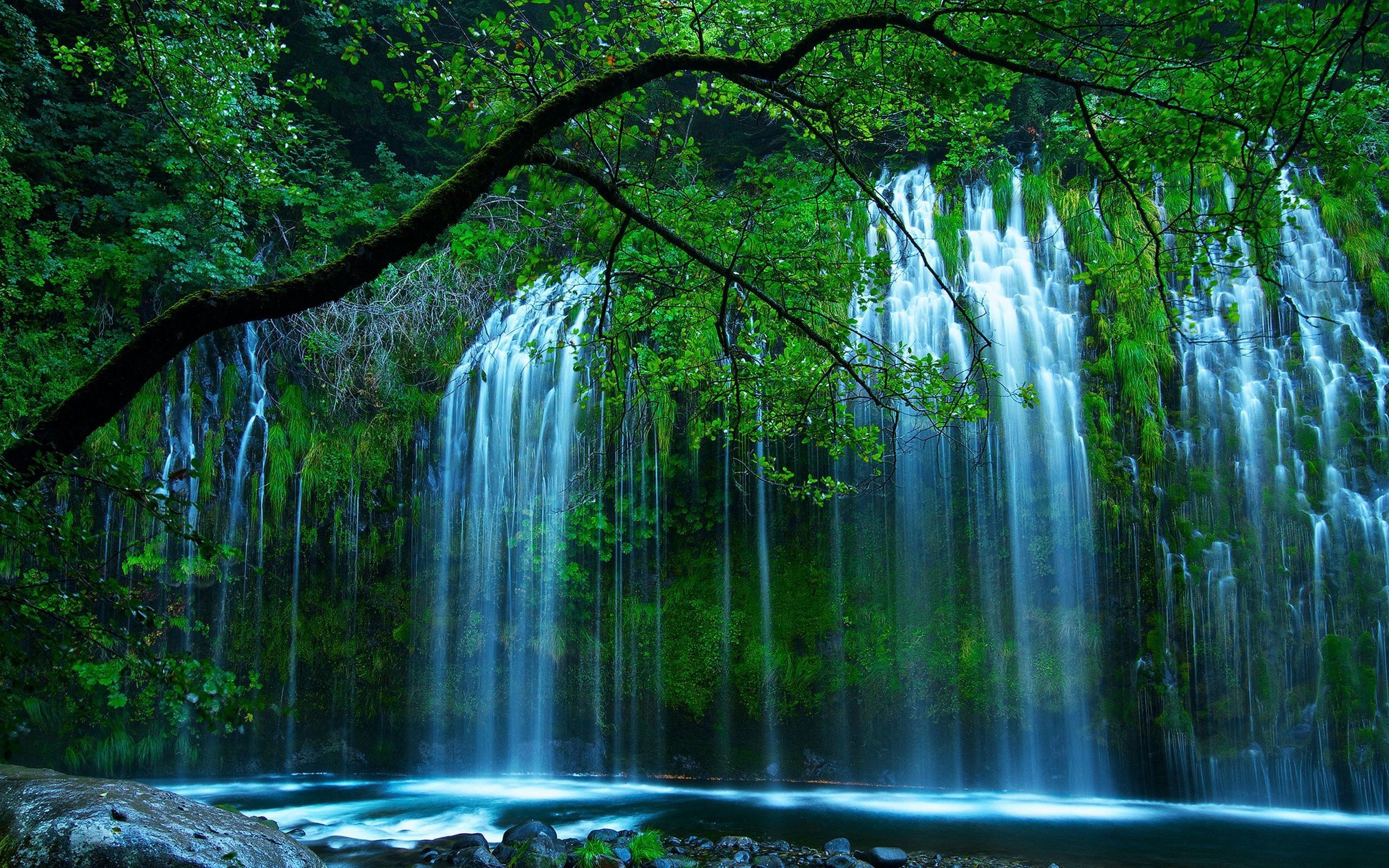 trees, flow, nature, waterfall