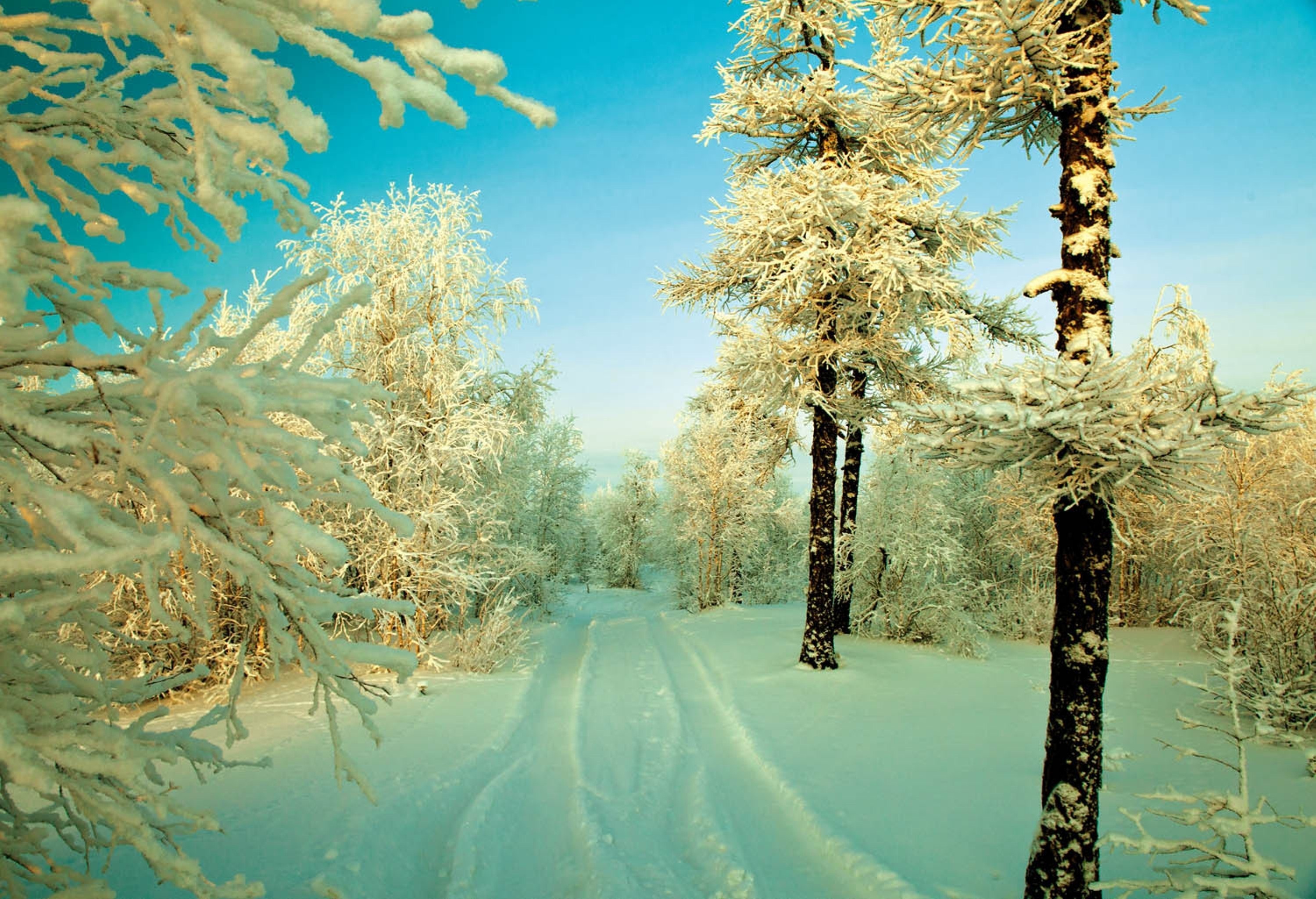 Téléchargez gratuitement l'image Hiver, Terre/nature sur le bureau de votre PC