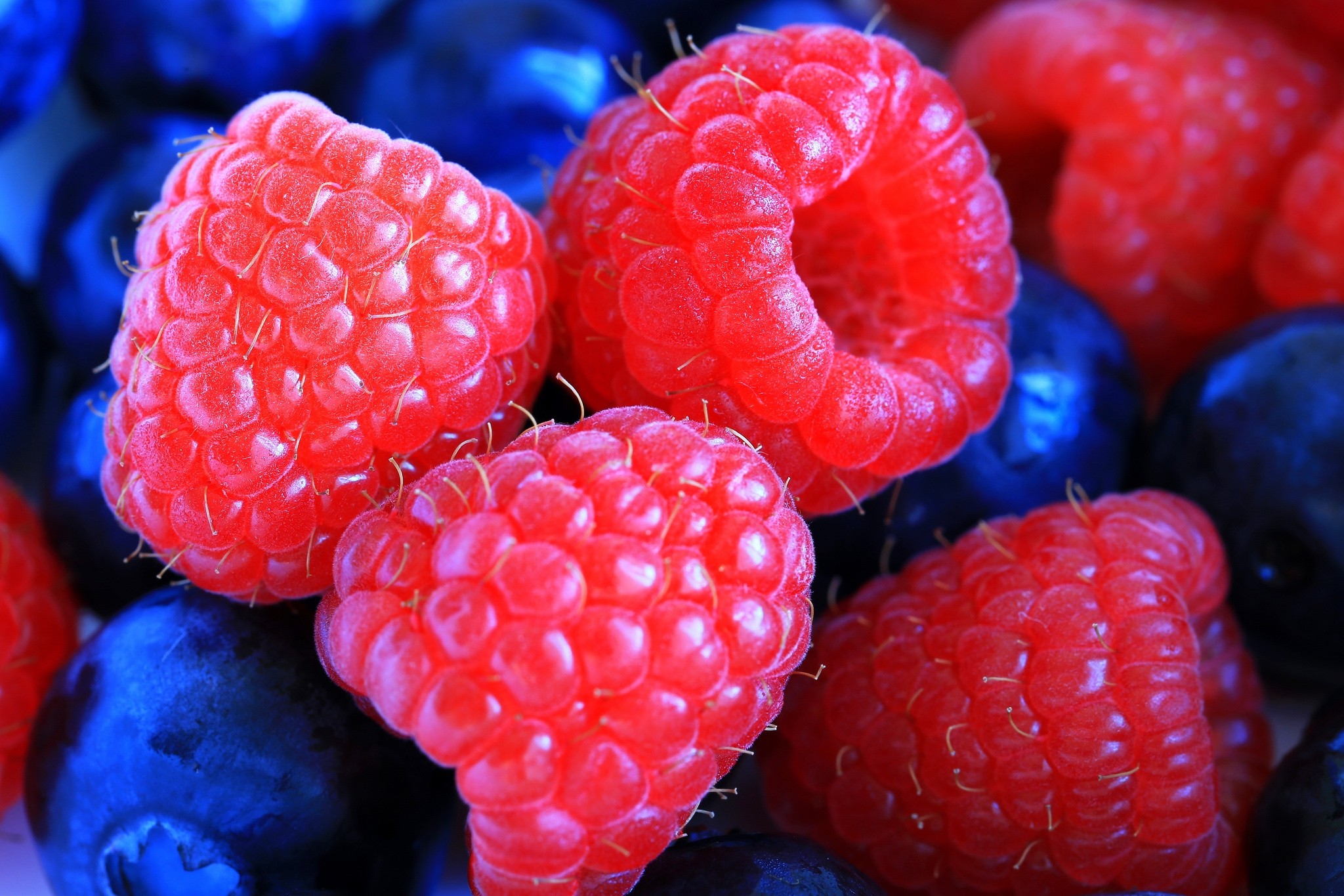 raspberry, macro, berry, lingonberry, cowberry