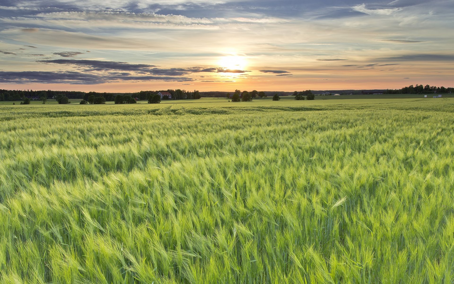 Скачати мобільні шпалери Пейзаж, Земля безкоштовно.