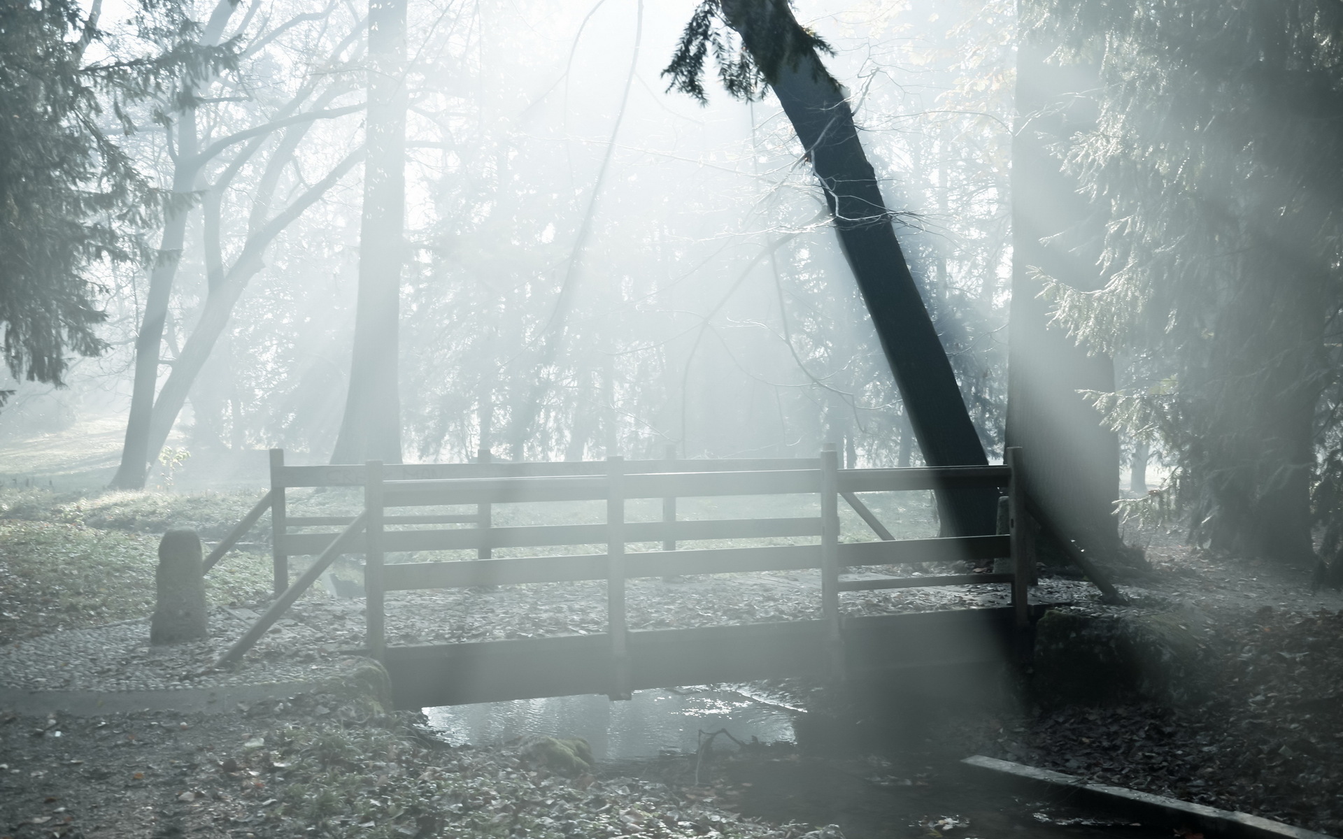 Handy-Wallpaper Landschaft, Wald, Nebel, Brücke, Strom, Szene, Erde/natur kostenlos herunterladen.