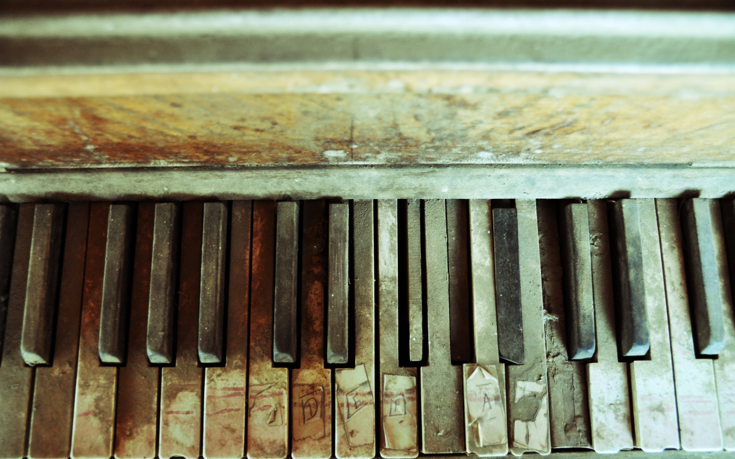 Téléchargez des papiers peints mobile Piano, Musique gratuitement.