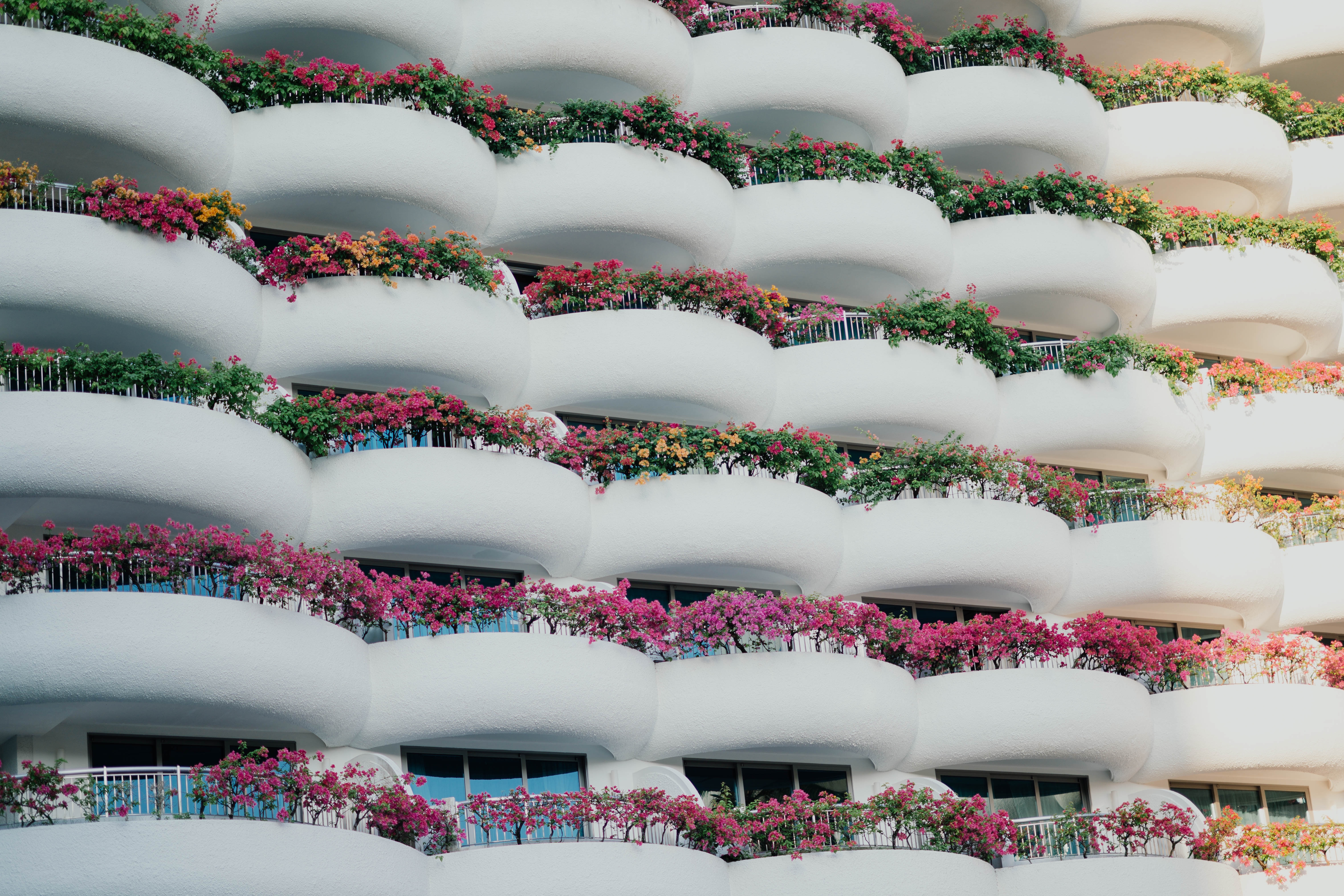 flowers, architecture, white, building, miscellanea, miscellaneous, balconies