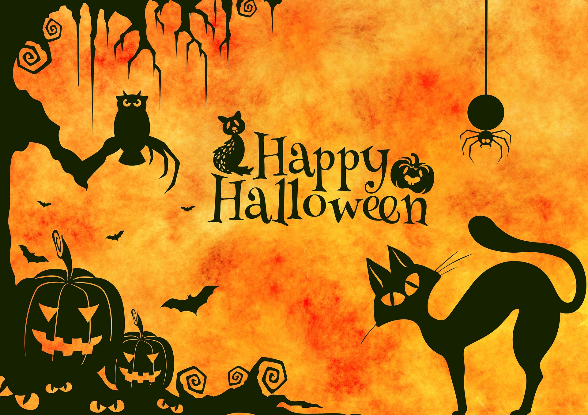 Download mobile wallpaper Halloween, Owl, Holiday, Spider, Jack O' Lantern for free.