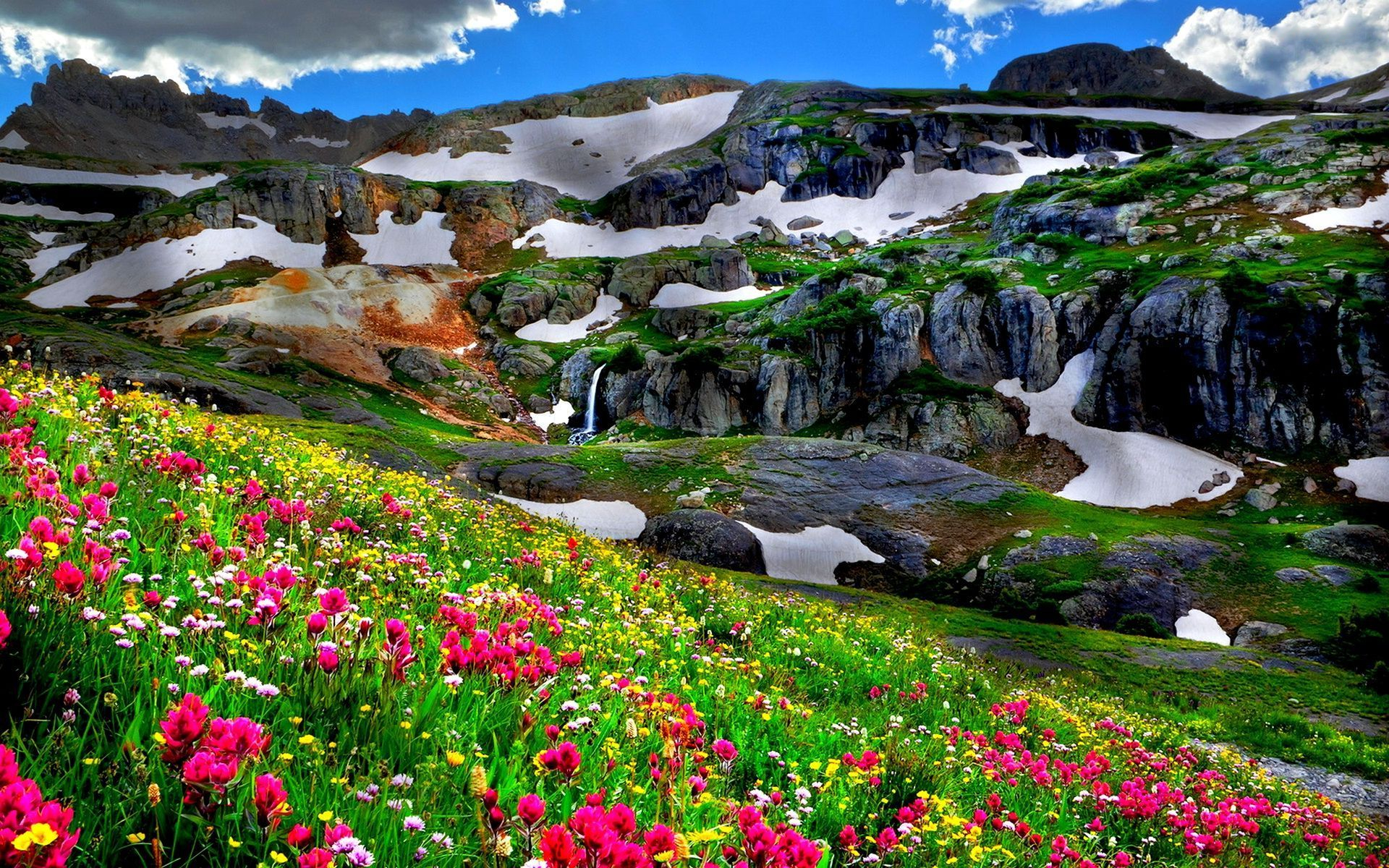 Free download wallpaper Landscape, Snow, Mountain, Flower, Earth, Field, Spring on your PC desktop