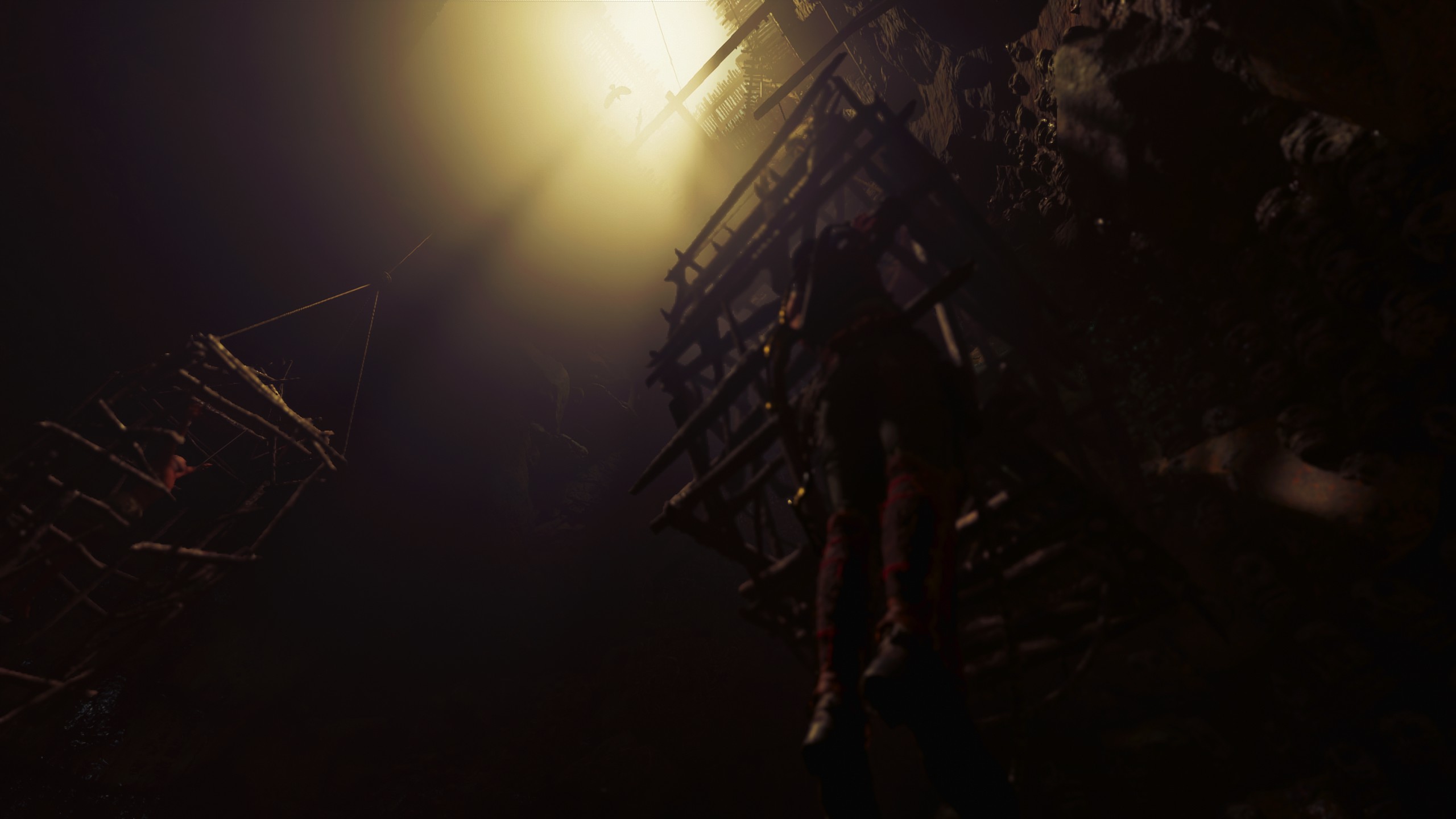 477129 Papéis de parede e Shadow Of The Tomb Raider imagens na área de trabalho. Baixe os protetores de tela  no PC gratuitamente