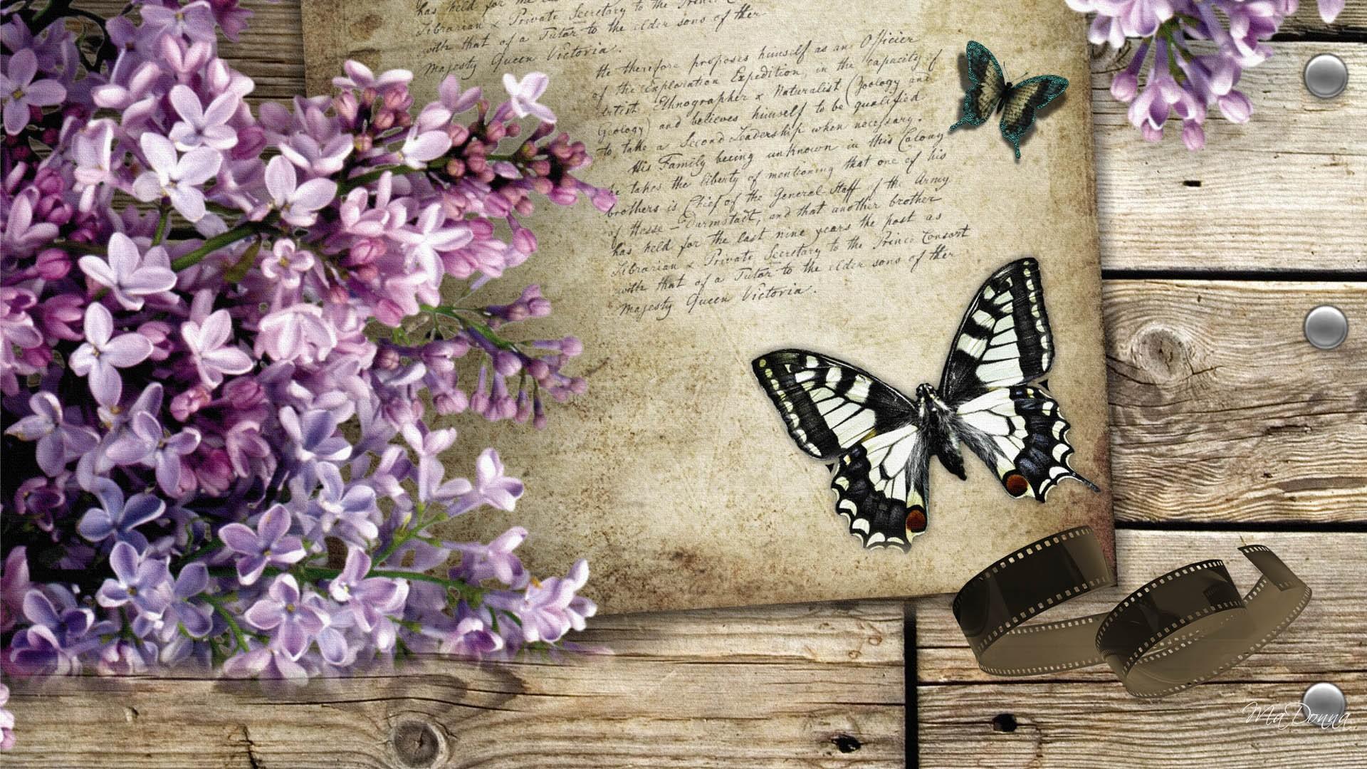 Download mobile wallpaper Lilac, Still Life, Vintage, Butterfly, Photography for free.