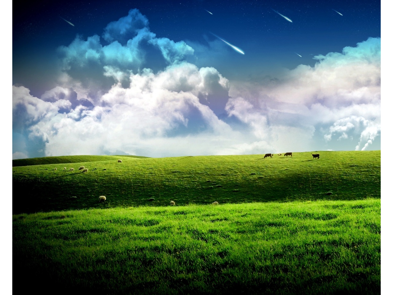 Download mobile wallpaper Earth, Field for free.