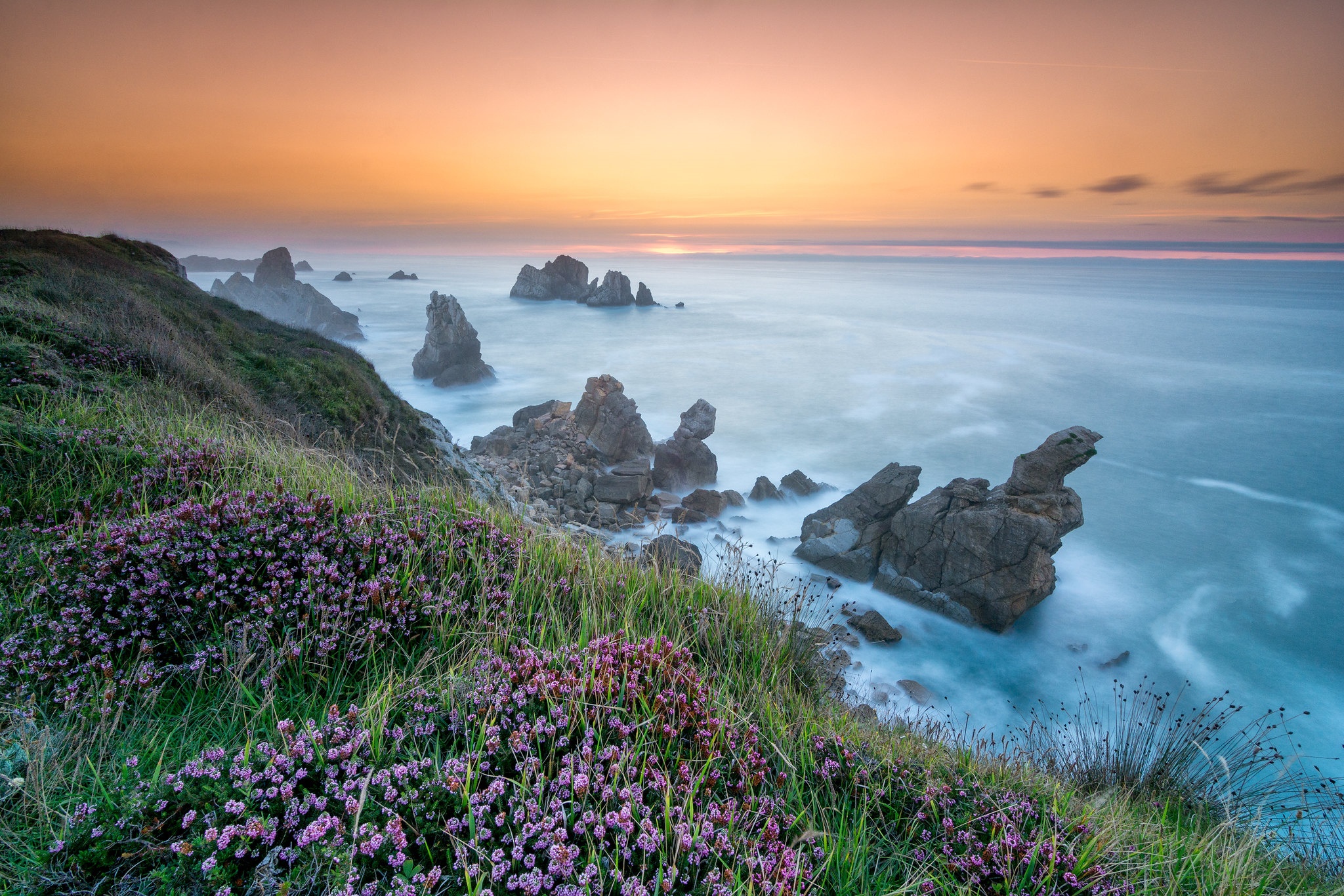 Free download wallpaper Sunset, Sea, Shore, Flower, Earth, Coastline on your PC desktop