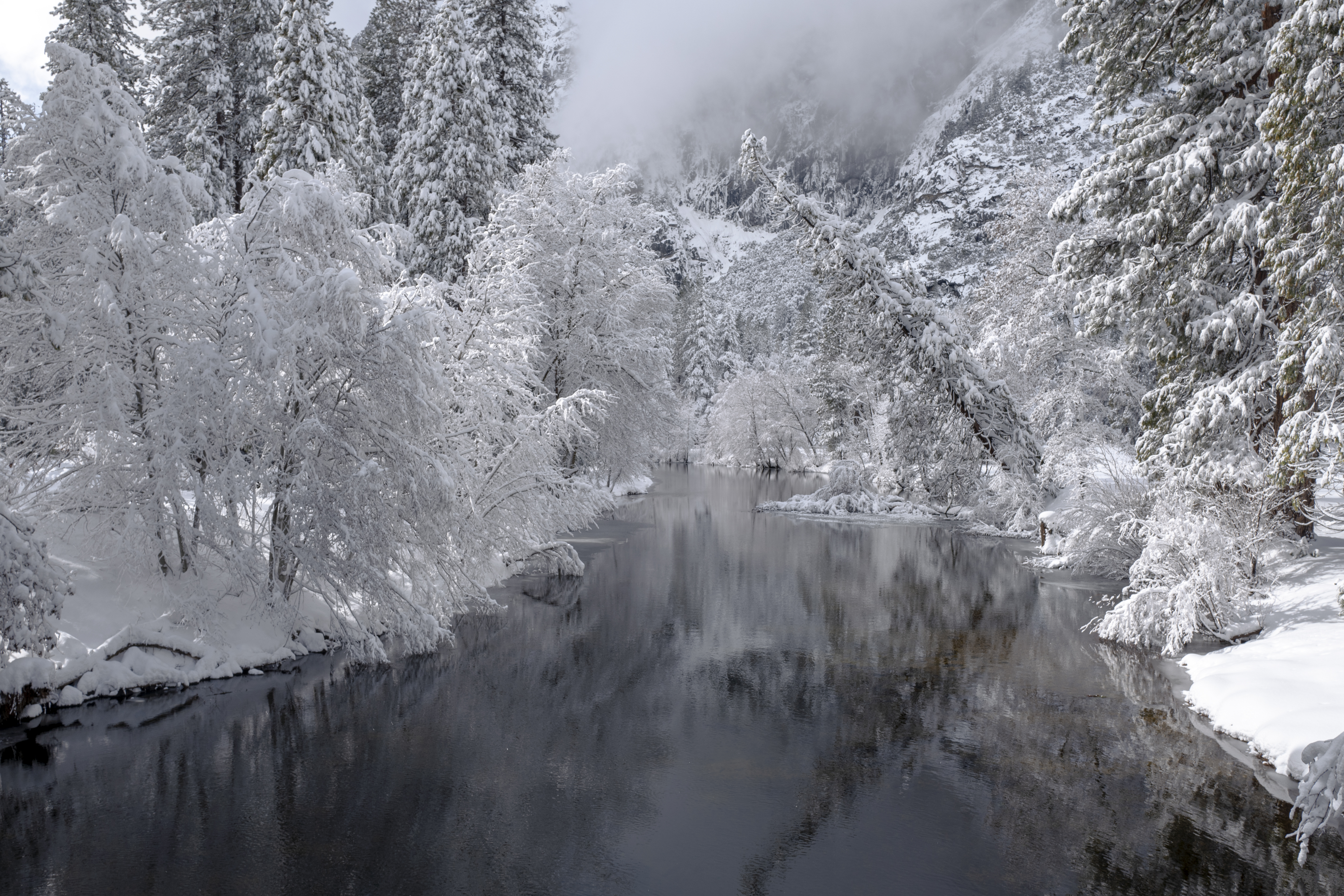 Download mobile wallpaper Winter, Trees, Snow, Rivers, Nature, Landscape for free.