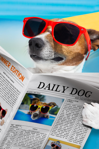 1315050 скачать обои лето, юмор, собака, газета, солнцезащитные очки, джек рассел терьер - заставки и картинки бесплатно