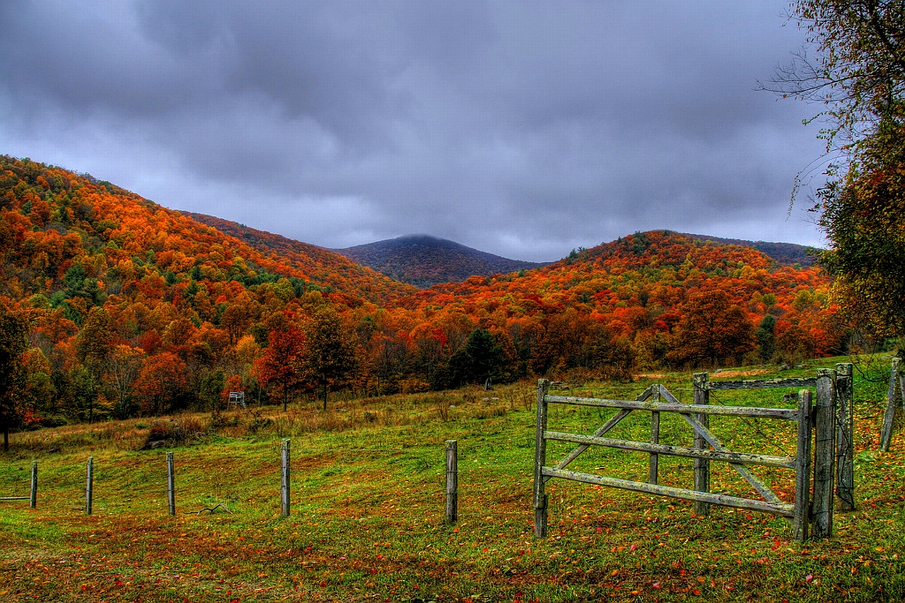 Free download wallpaper Fence, Man Made on your PC desktop