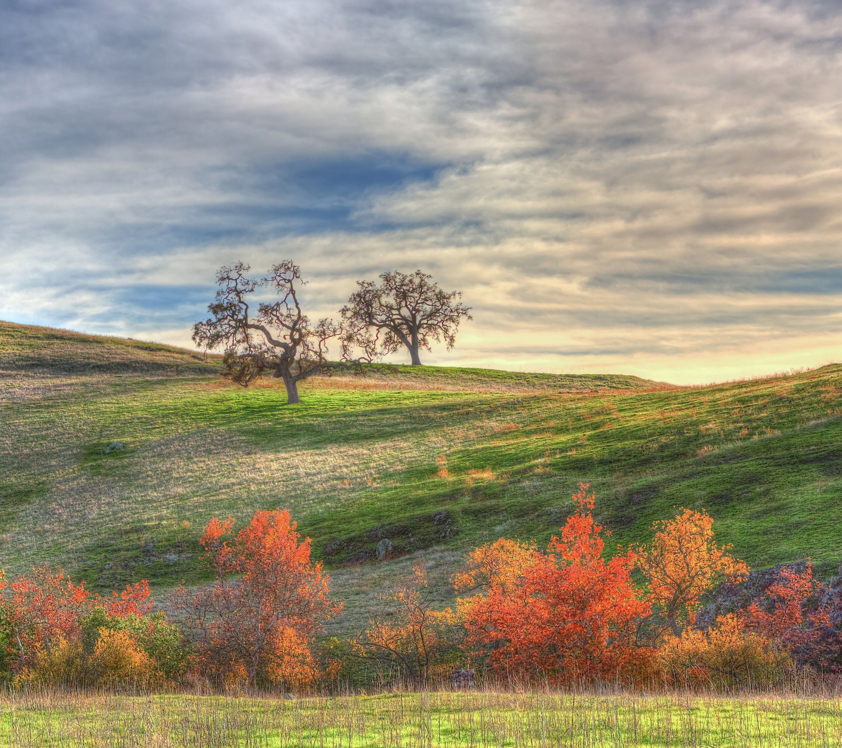 Free download wallpaper Landscape, Nature, Grass, Sky, Tree, Fall, Earth, Hill, Hdr, Meadow on your PC desktop