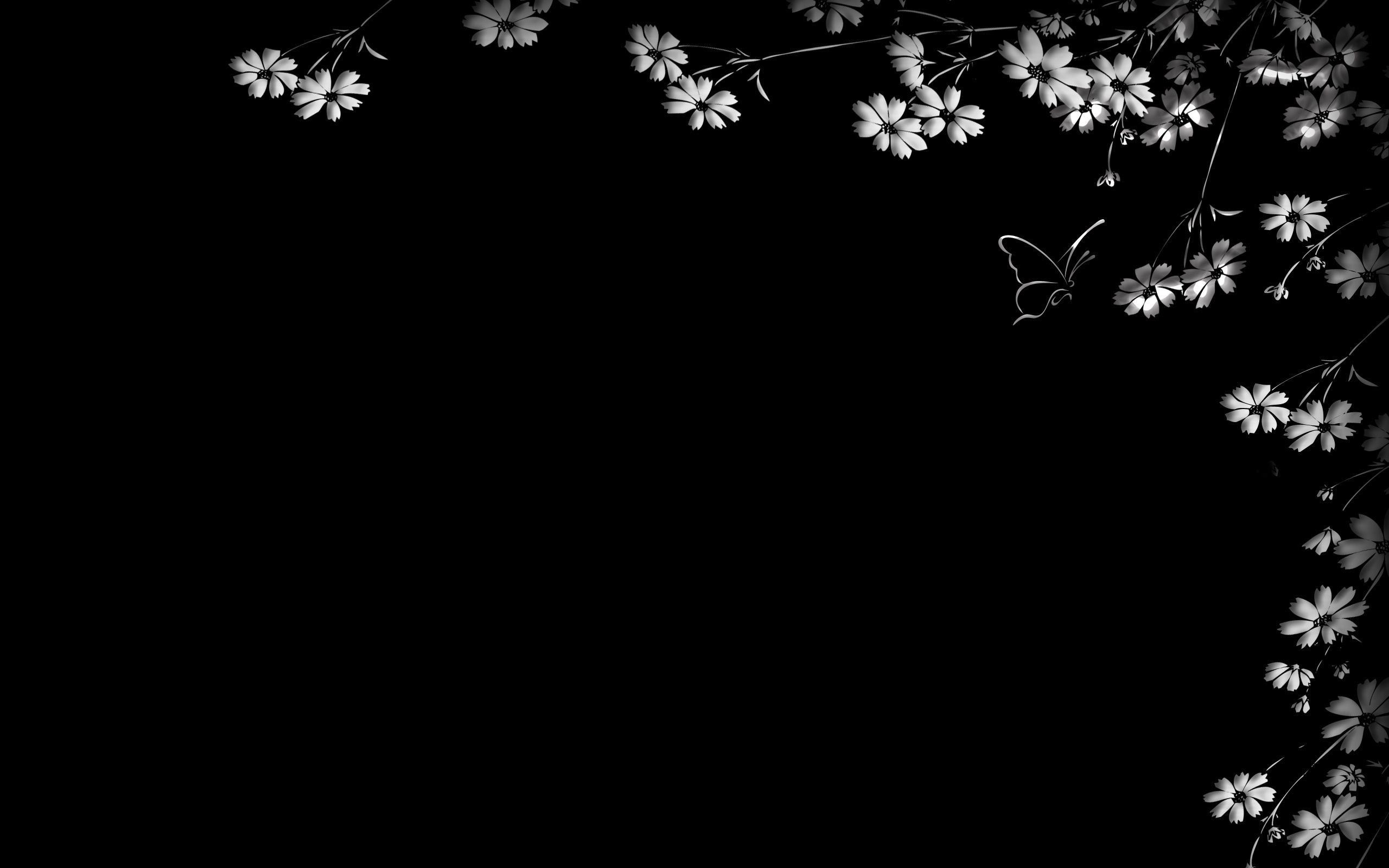 black, black background, flowers, butterfly